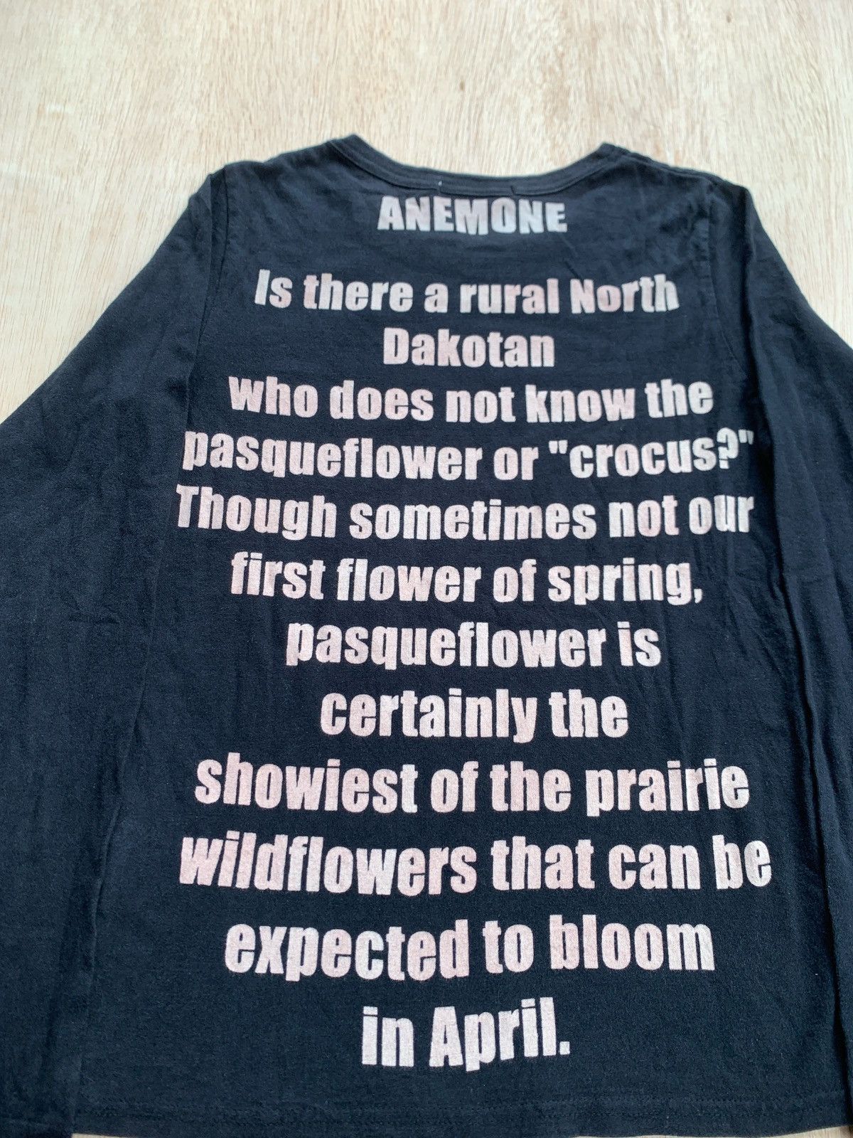 Hysteric Glamour × If Six Was Nine × Japanese Brand Sucure Pomme Pasque Flower Lgb Style Longsleeve Size US M / EU 48-50 / 2 - 3 Thumbnail
