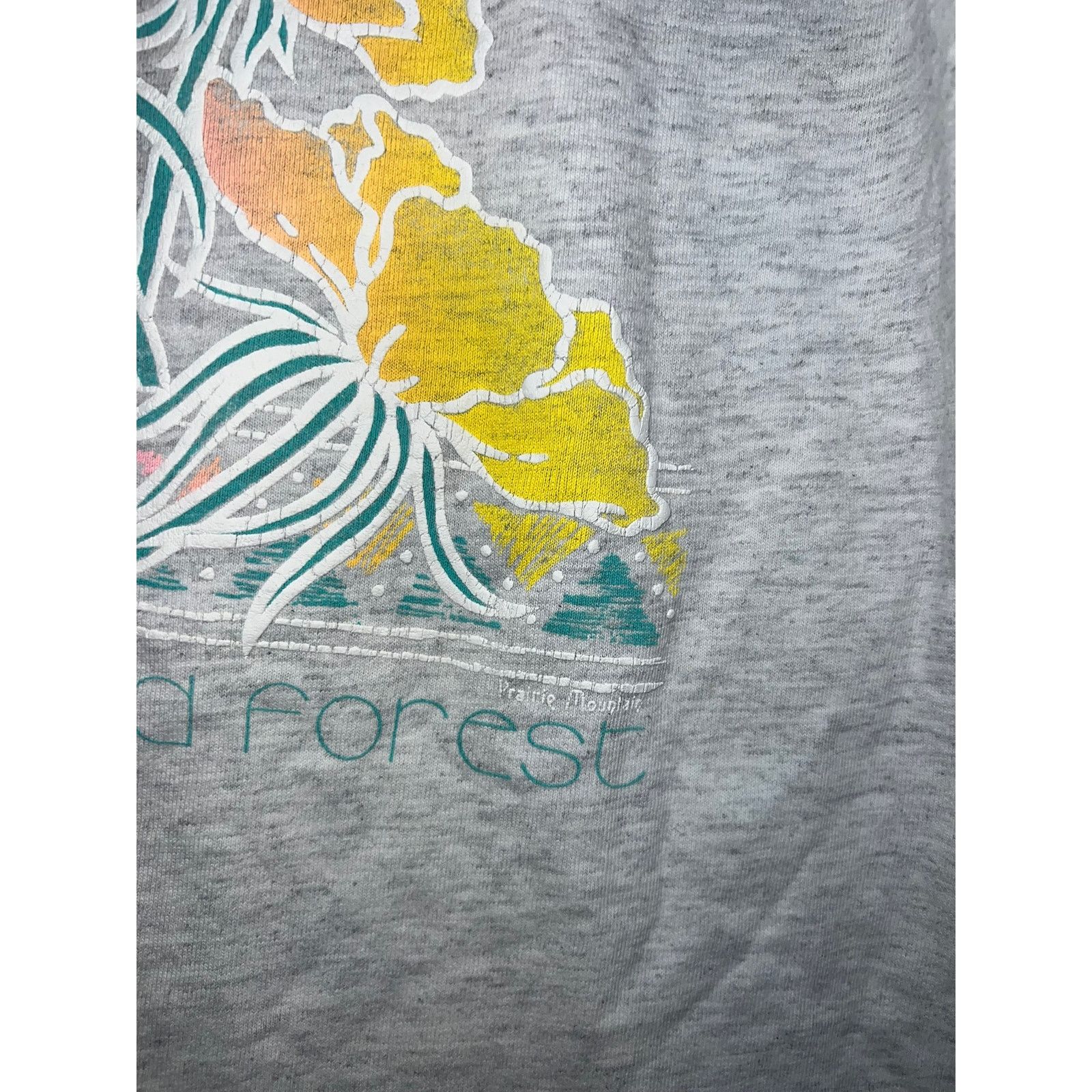 Vintage Vintage Painted Desert Shirt Petrified Forest Flower Tee 90s Size US M / EU 48-50 / 2 - 4 Thumbnail