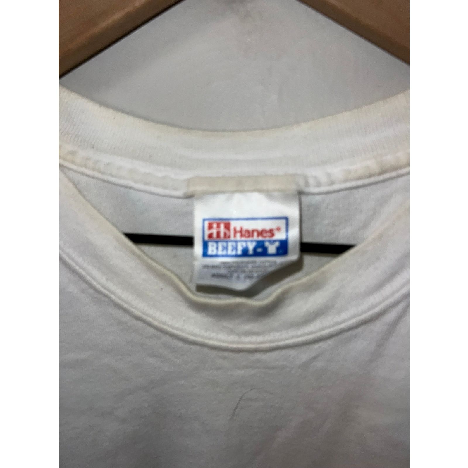 Hanes Vintage Biking Shirt Walking Multisport Backroads Tee 90s L Size US L / EU 52-54 / 3 - 6 Thumbnail