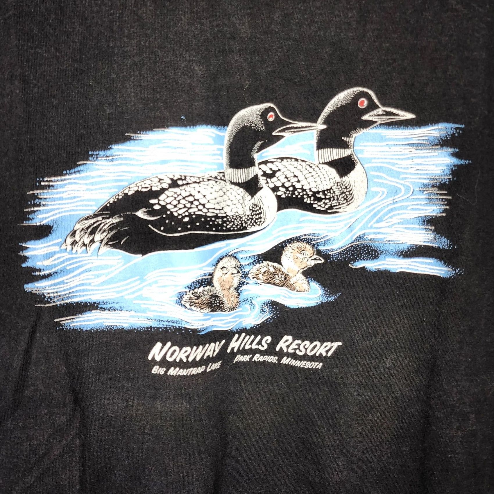 Fruit Of The Loom VINTAGE Fruit Of The Loom Norway Hills Shirt Mens 2XL Black Loon Graphic Tee Size US XXL / EU 58 / 5 - 4 Thumbnail