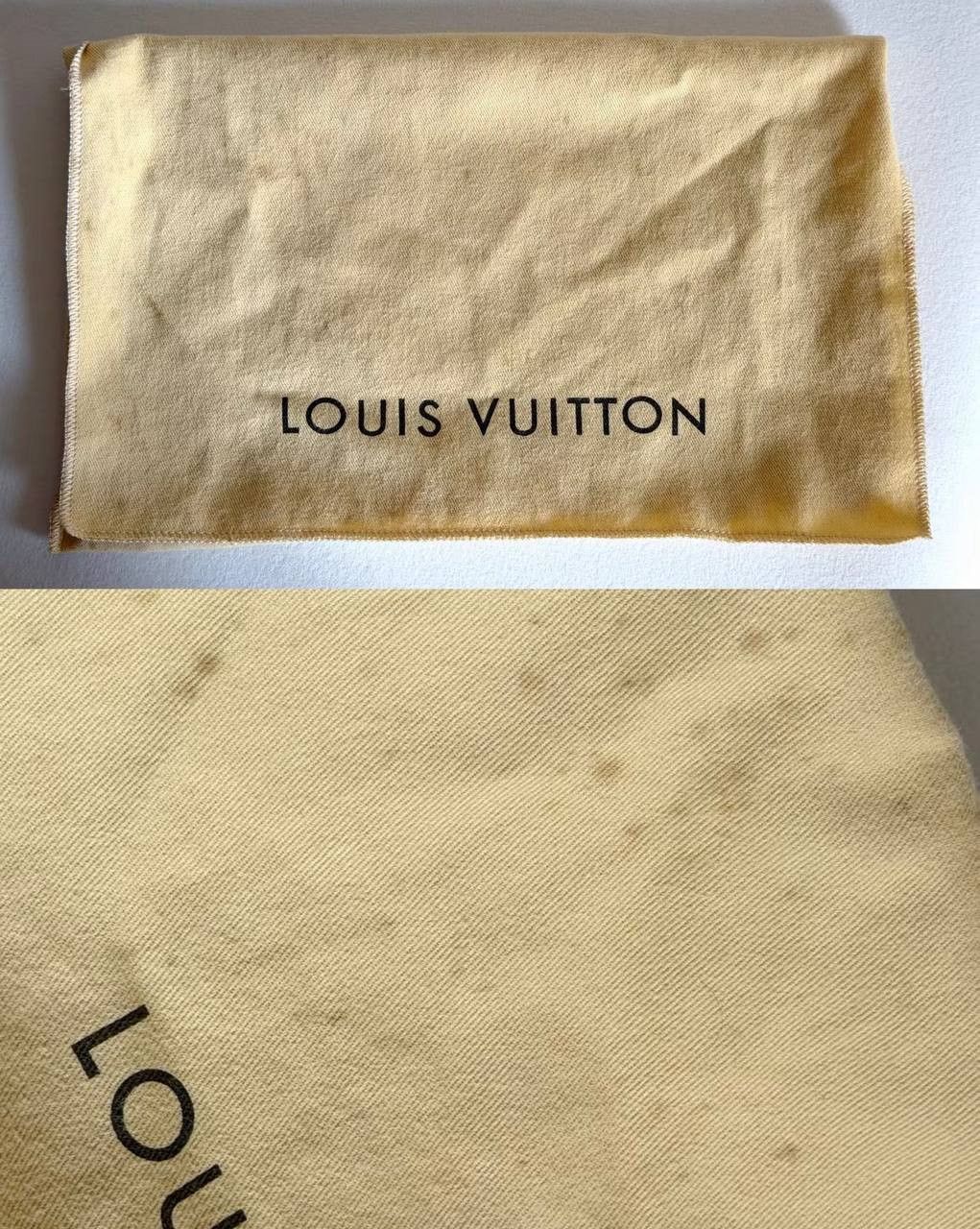 Louis Vuitton Louis Vuitton/LV monogram EVA shoulder/crossbody bag. Size ONE SIZE - 5 Thumbnail