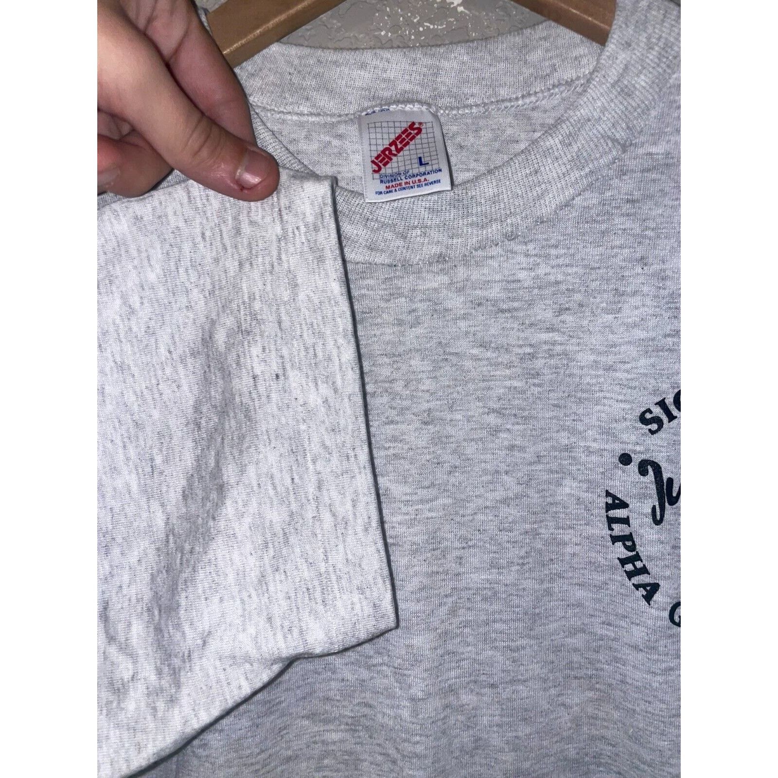 Jerzees Vintage Sigma Nu Alpha Gamma Delta Shirt Gray Tee 90s VTG L Size US L / EU 52-54 / 3 - 4 Thumbnail