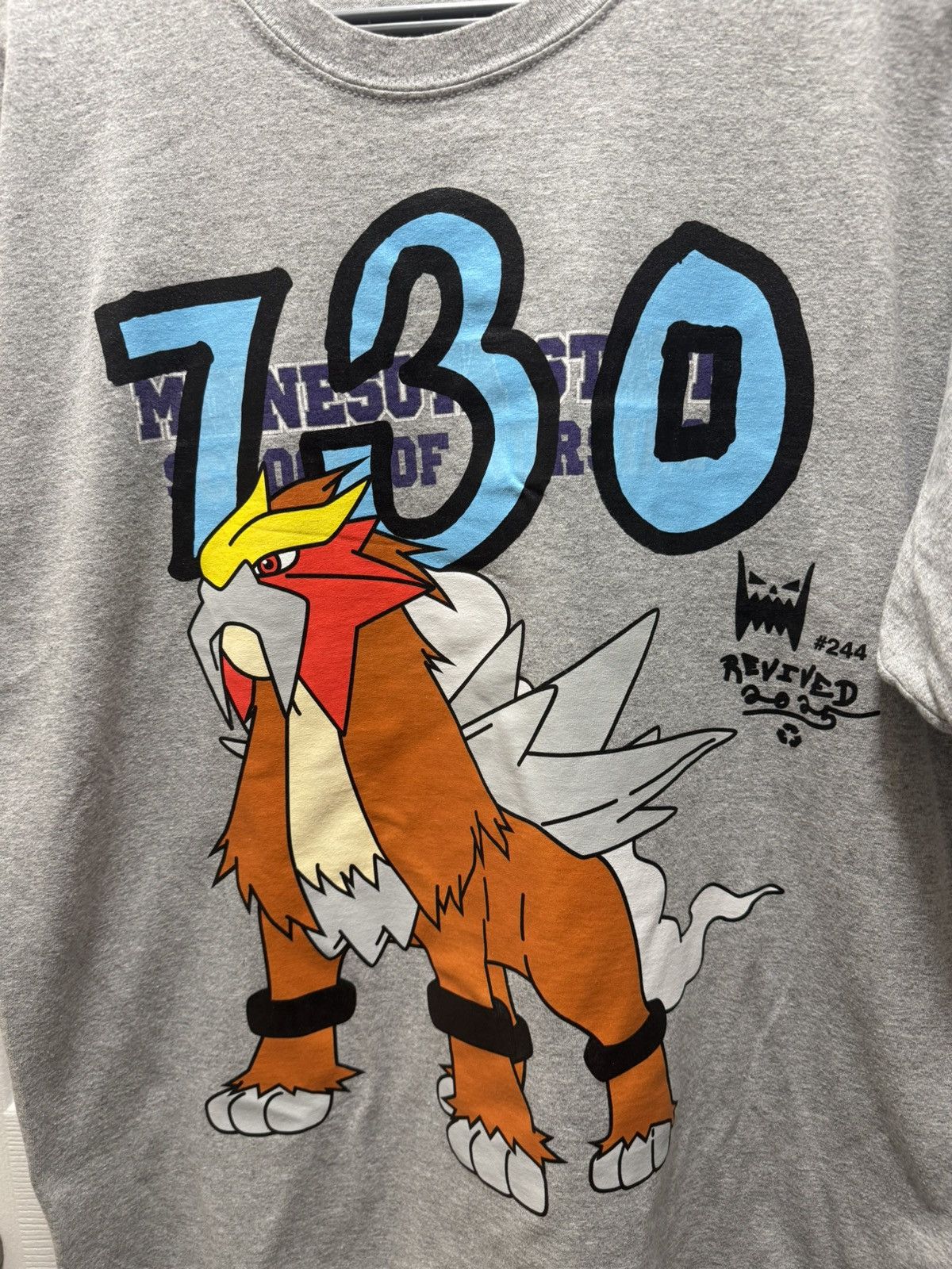 Asspizza AssPizza 730 Pokemon Gen 2 Entei #244 Legendary RARE Size US L / EU 52-54 / 3 - 2 Thumbnail