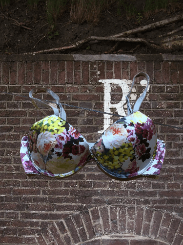 Dolce & Gabbana DOLCE GABBANA Stylish Women’s Bra with Adjustable Straps Size ONE SIZE - 1 Thumbnail