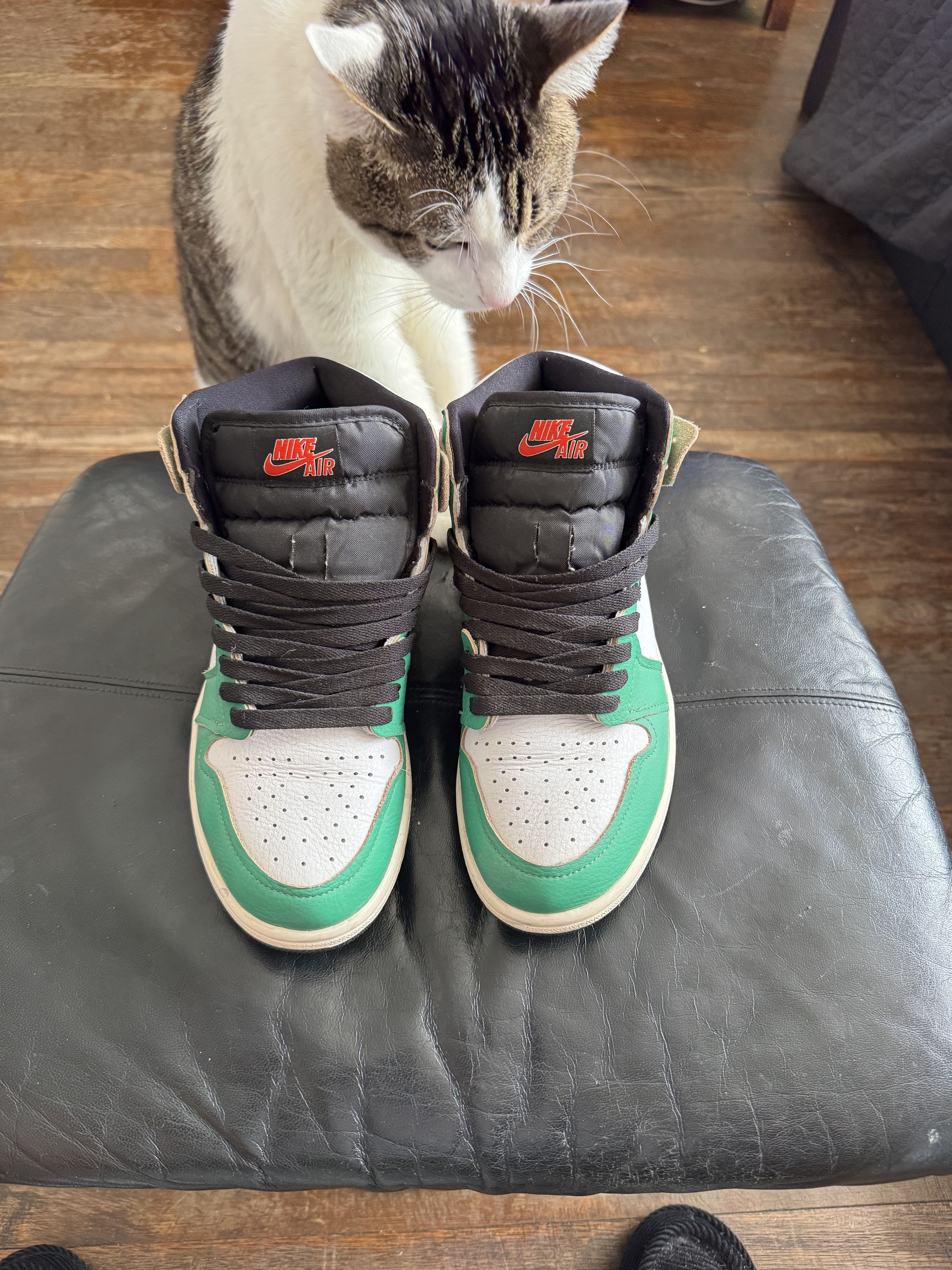 Jordan Brand × Nike Lucky Green Size US 8 / IT 38 - 1 Thumbnail