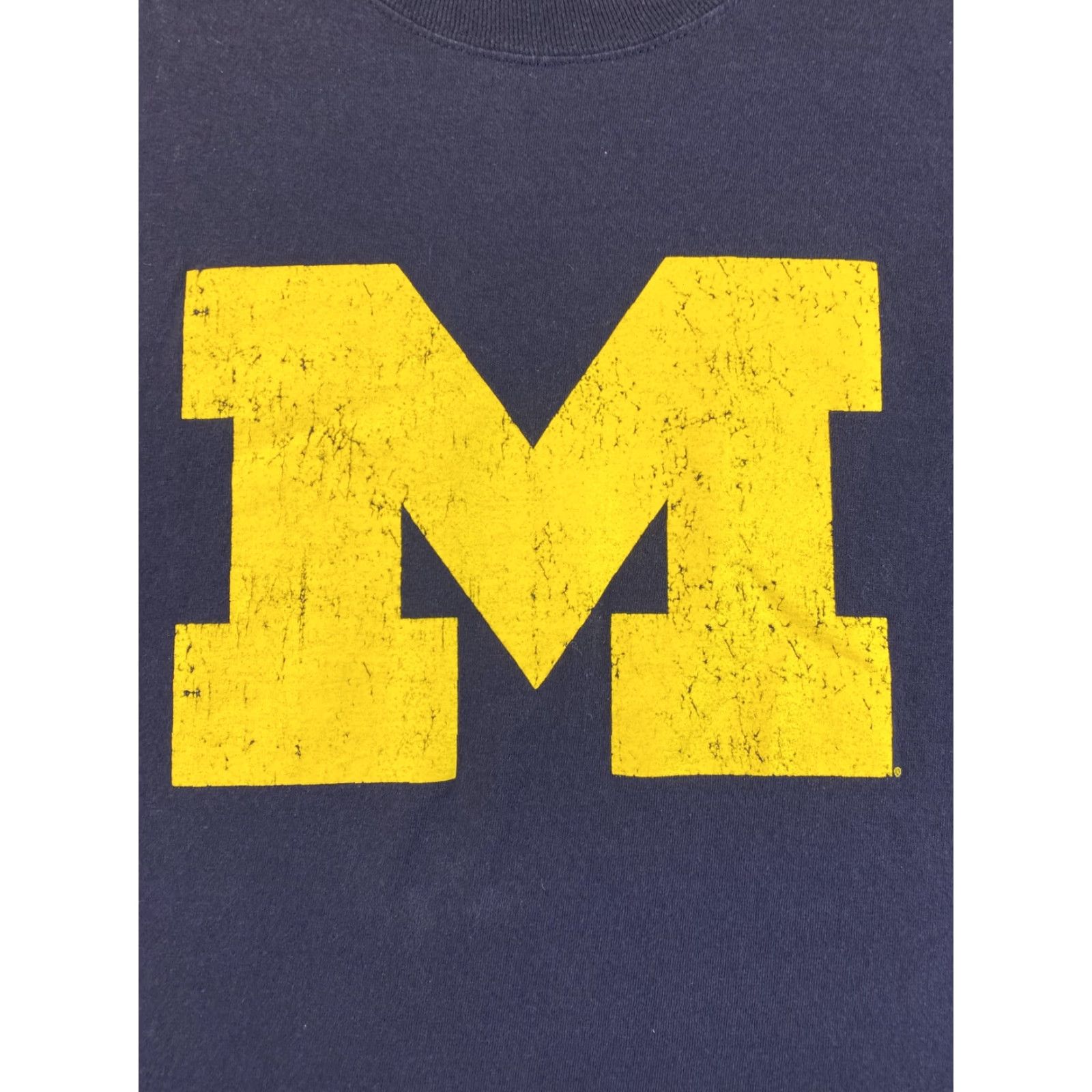 Vintage ProEdge Men’s Blue Crew Neck XL T-Shirt | Solid Basic Tee | Michigan Size US XL / EU 56 / 4 - 5 Thumbnail
