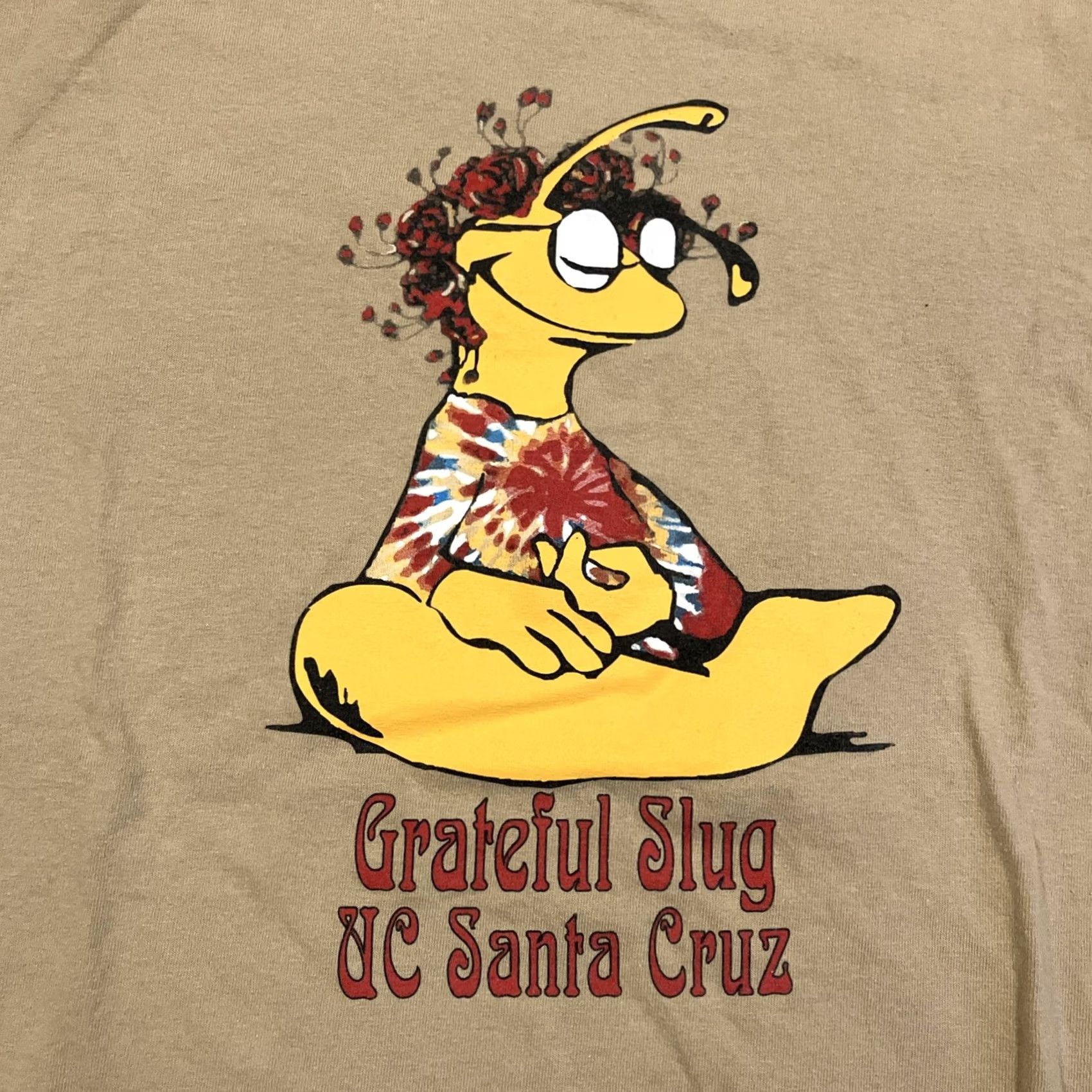 Gildan VINTAGE Grateful Slug UC Santa Cruz Grateful Dead T-Shirt XL Men Brown Cotton 90s Music Graphic Print Crew Neck Short Sleeve Gildan Classic Regular Size US XL / EU 56 / 4 - 2 Thumbnail
