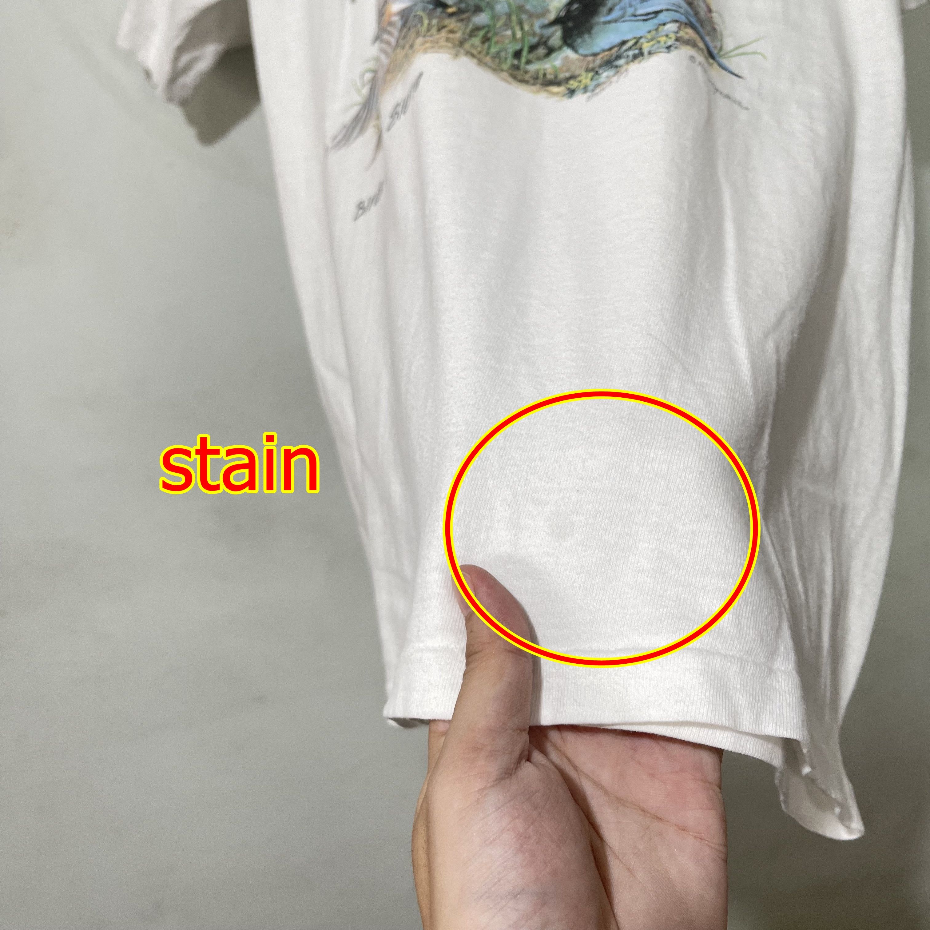 Vintage Vintage 90s Birds of the Sierra T-Shirt Size US M / EU 48-50 / 2 - 11 Thumbnail
