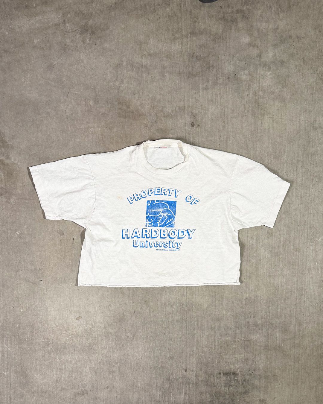 Vintage Hardbody University Crop Cut Size US S / EU 44-46 / 1 - 1 Thumbnail