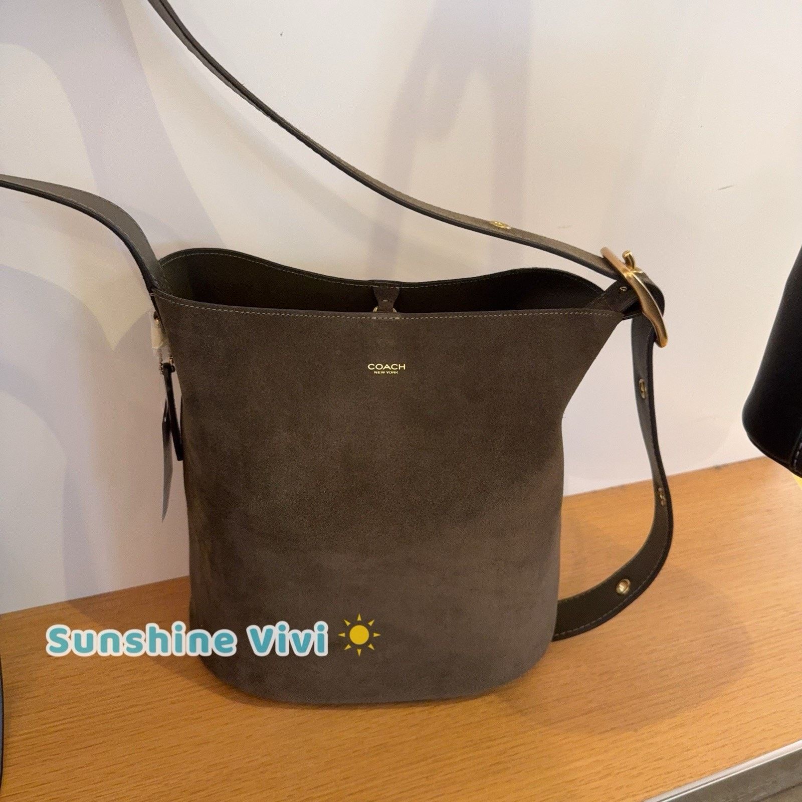 Coach NWT Coach Bleecker Bucket Bag CCC24 suede Brass/Olive Size ONE SIZE - 1 Thumbnail