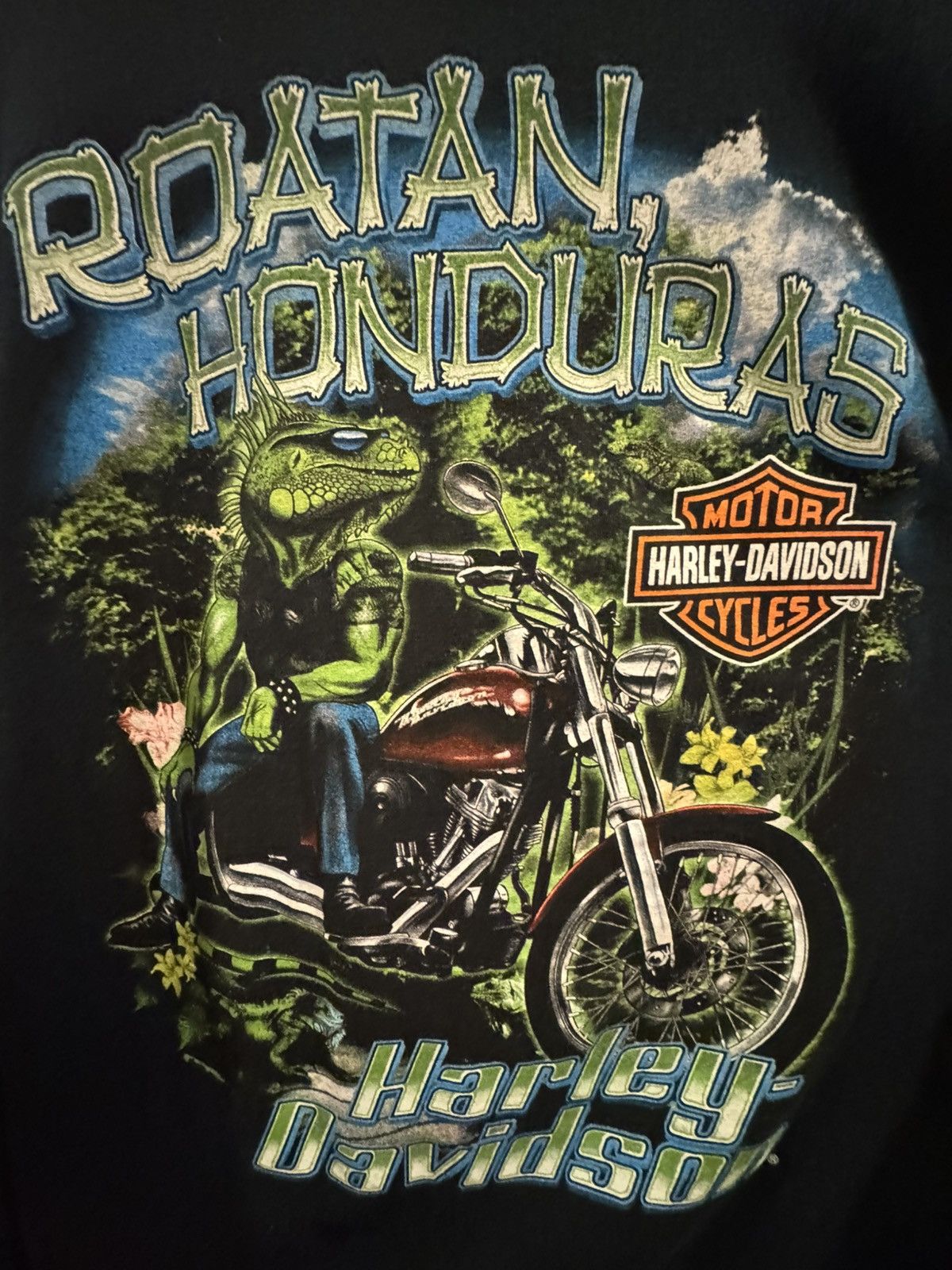 Harley Davidson Harley Davidson Roatan Honduras shirt Size US XXL / EU 58 / 5 - 3 Thumbnail