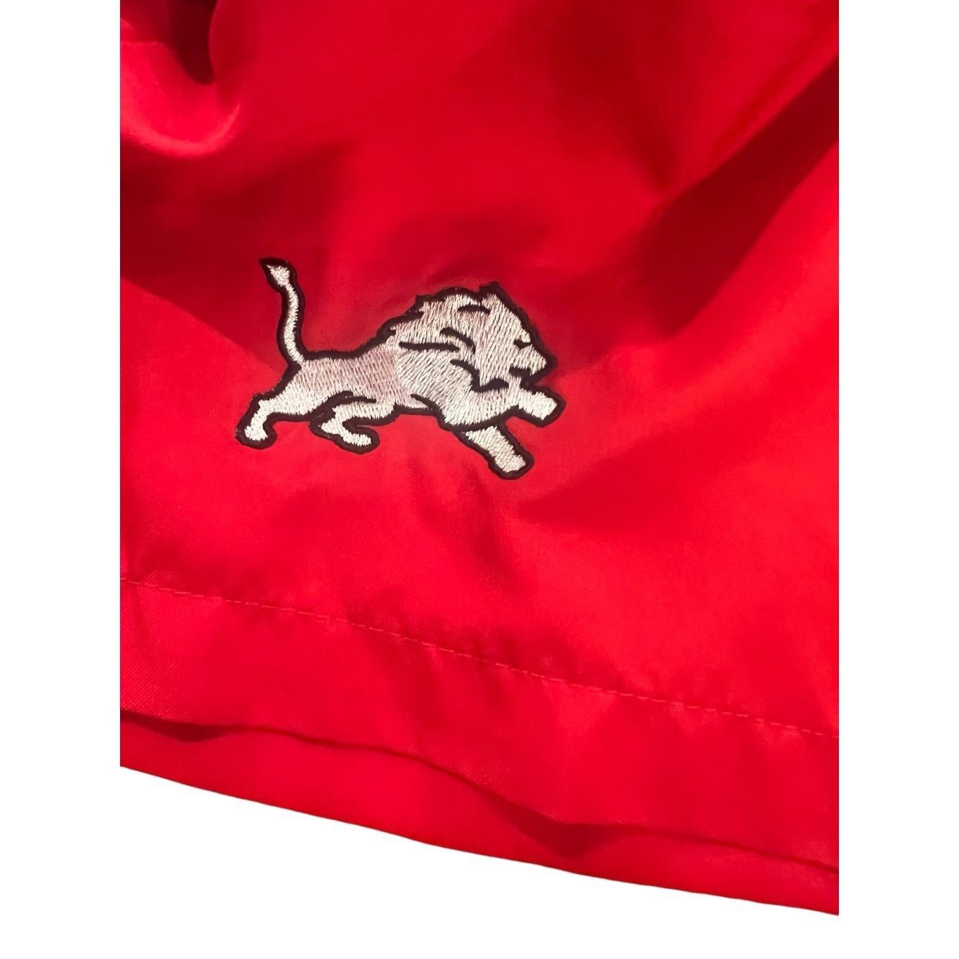 Nike Nike Dri-fit Shorts size L Size US 30 / EU 46 - 4 Thumbnail