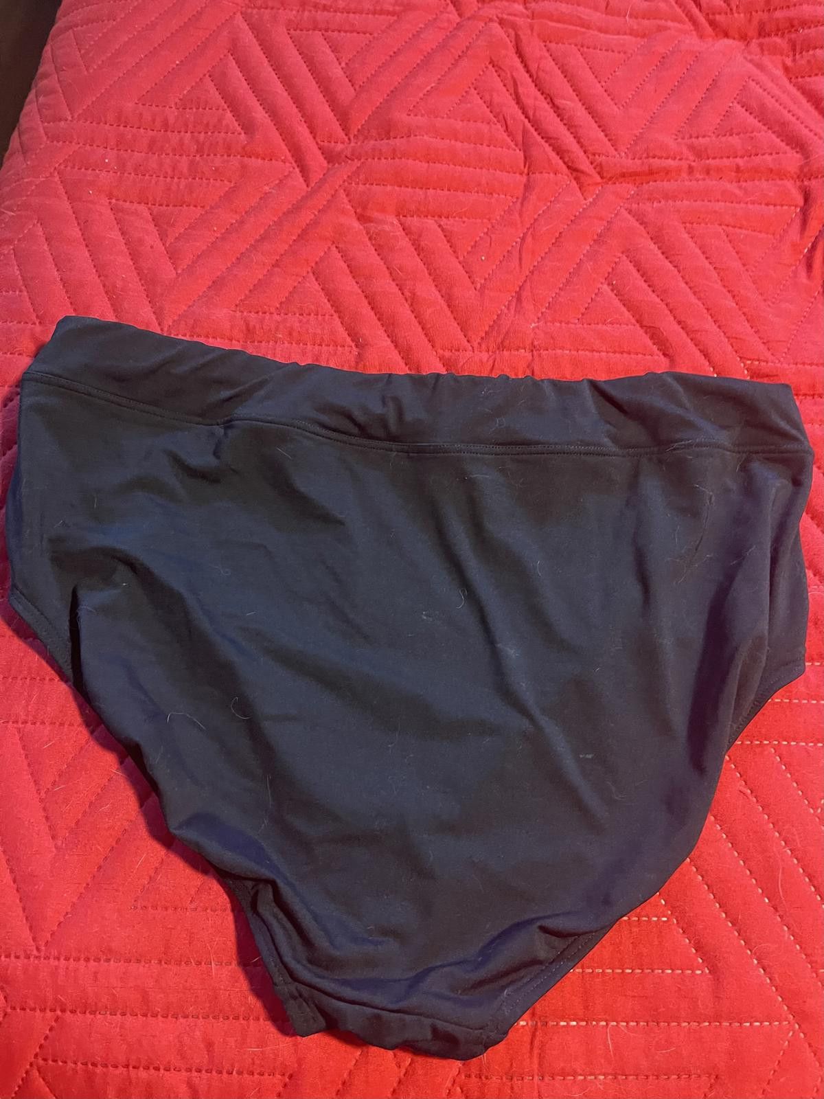 Lands' End Lands End bathing suit bottom Size ONE SIZE - 2 Thumbnail