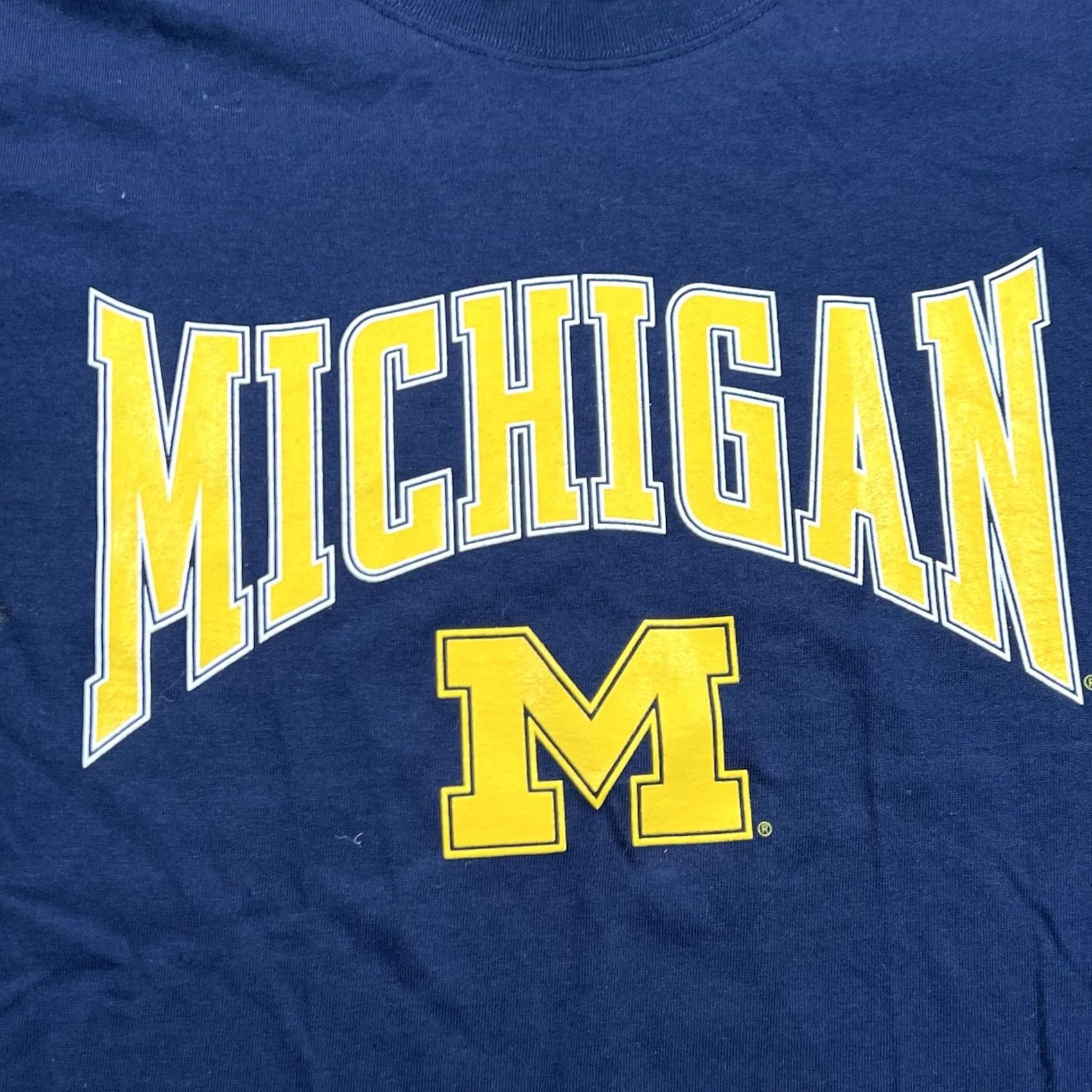 Soffe VINTAGE Soffe Michigan T-Shirt M USA Sports College Men Blue 90s Y2K M Size Medium Size US M / EU 48-50 / 2 - 2 Thumbnail