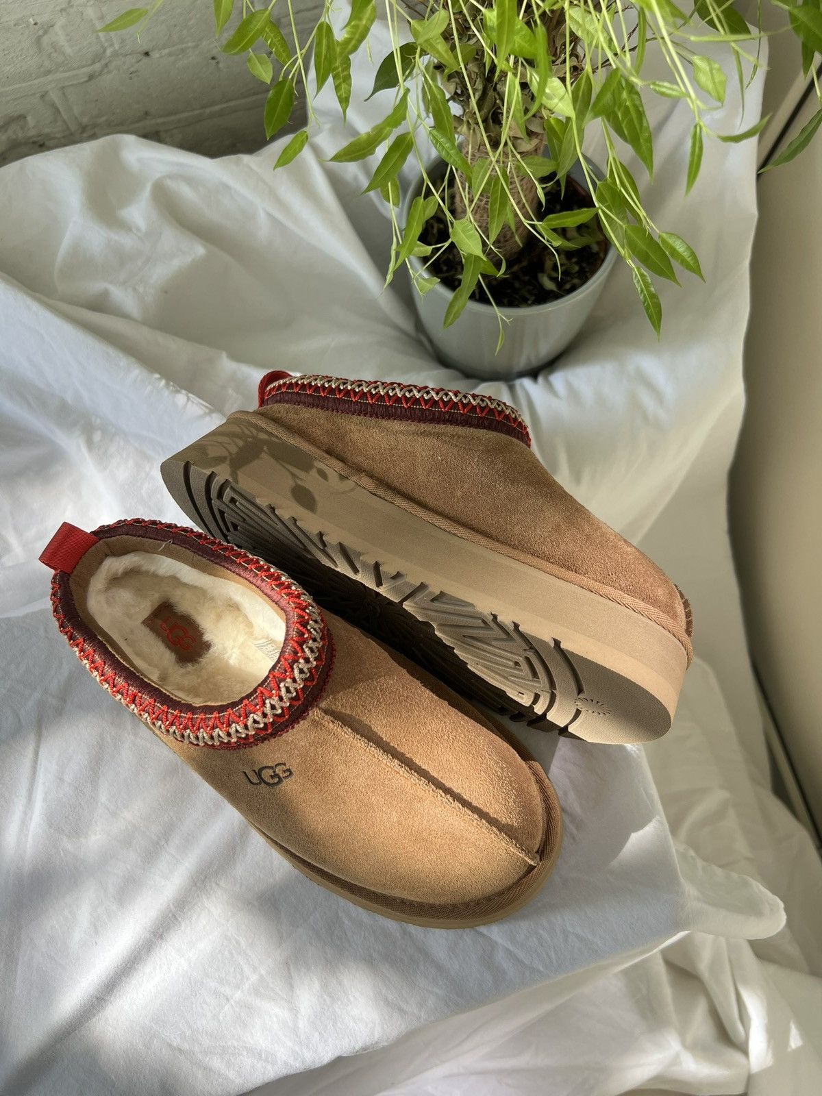Ugg 🤎 UGG Tazz Slipper – Chestnut – Size 36 New & Authentic US5W Size US 6 / IT 36 - 1 Thumbnail