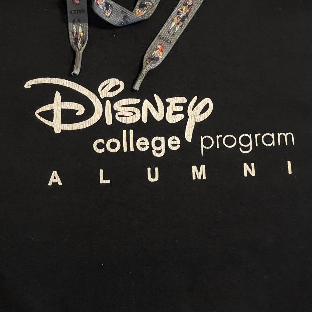 Champion Champion x Disney Hoodie Adult Medium Black Sweatshirt Size US M / EU 48-50 / 2 - 7 Thumbnail