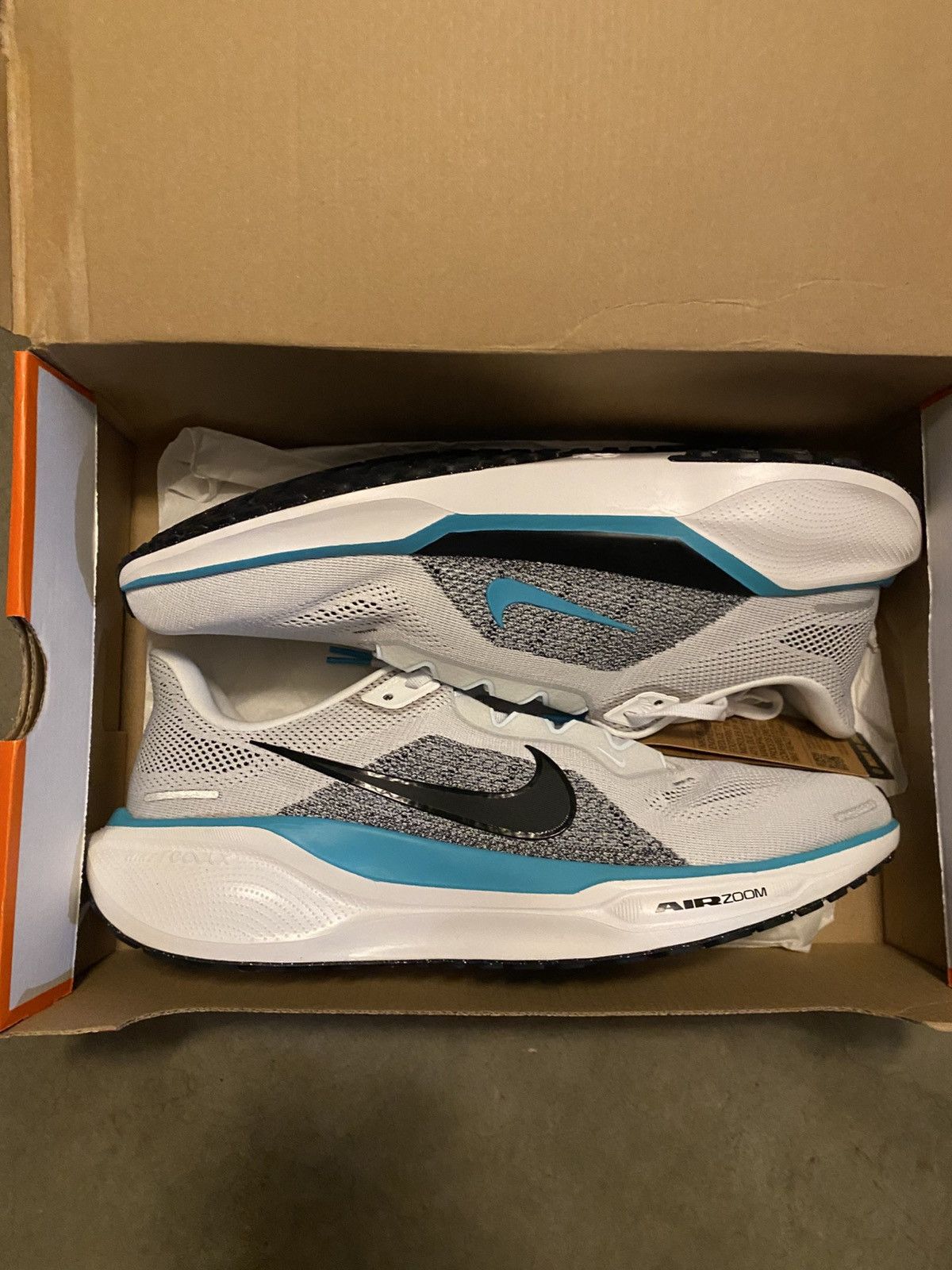Nike Nike Pegasus 41 Air Zoom Dusty Cactus Size US 12.5 / EU 45-46 - 1 Thumbnail