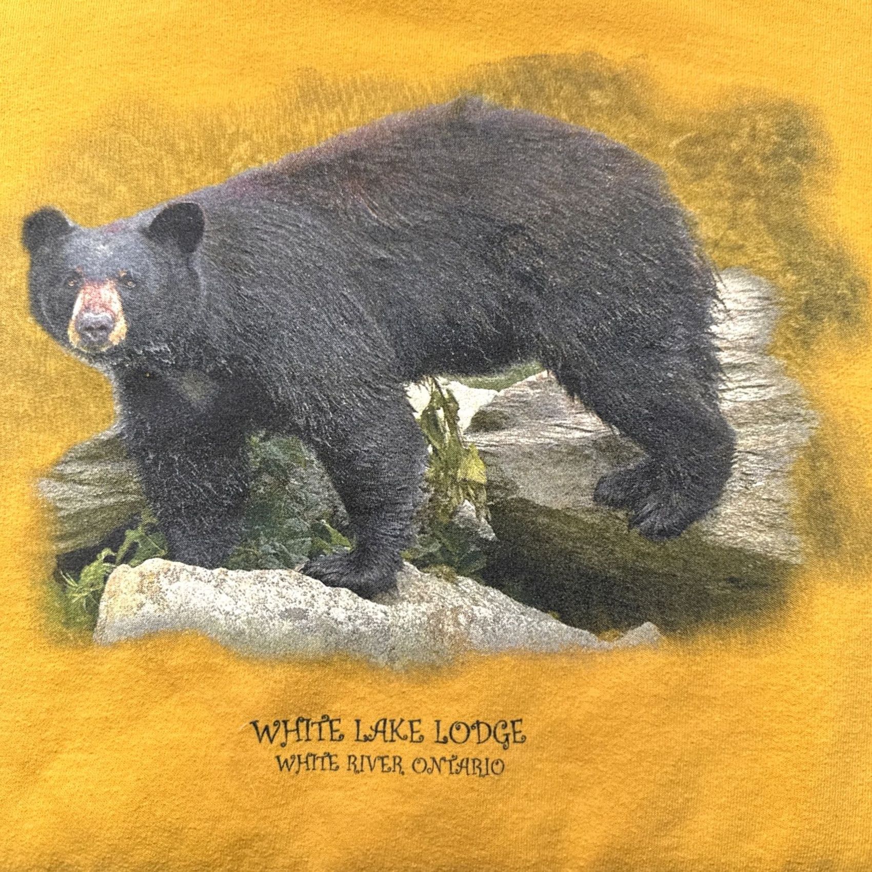 Gildan VINTAGE White Lake Lodge Hoodie Men’s XL White Gildan Fleece Bear Hoodie 90s Outdoor Pockets Drawstring Pullover Cute Size US XL / EU 56 / 4 - 2 Thumbnail