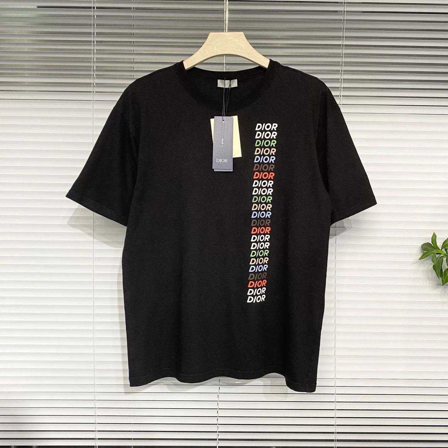 Dior Dior 2024 Rainbow Logo Black T-Shirt M Size US M / EU 48-50 / 2 - 6 Thumbnail