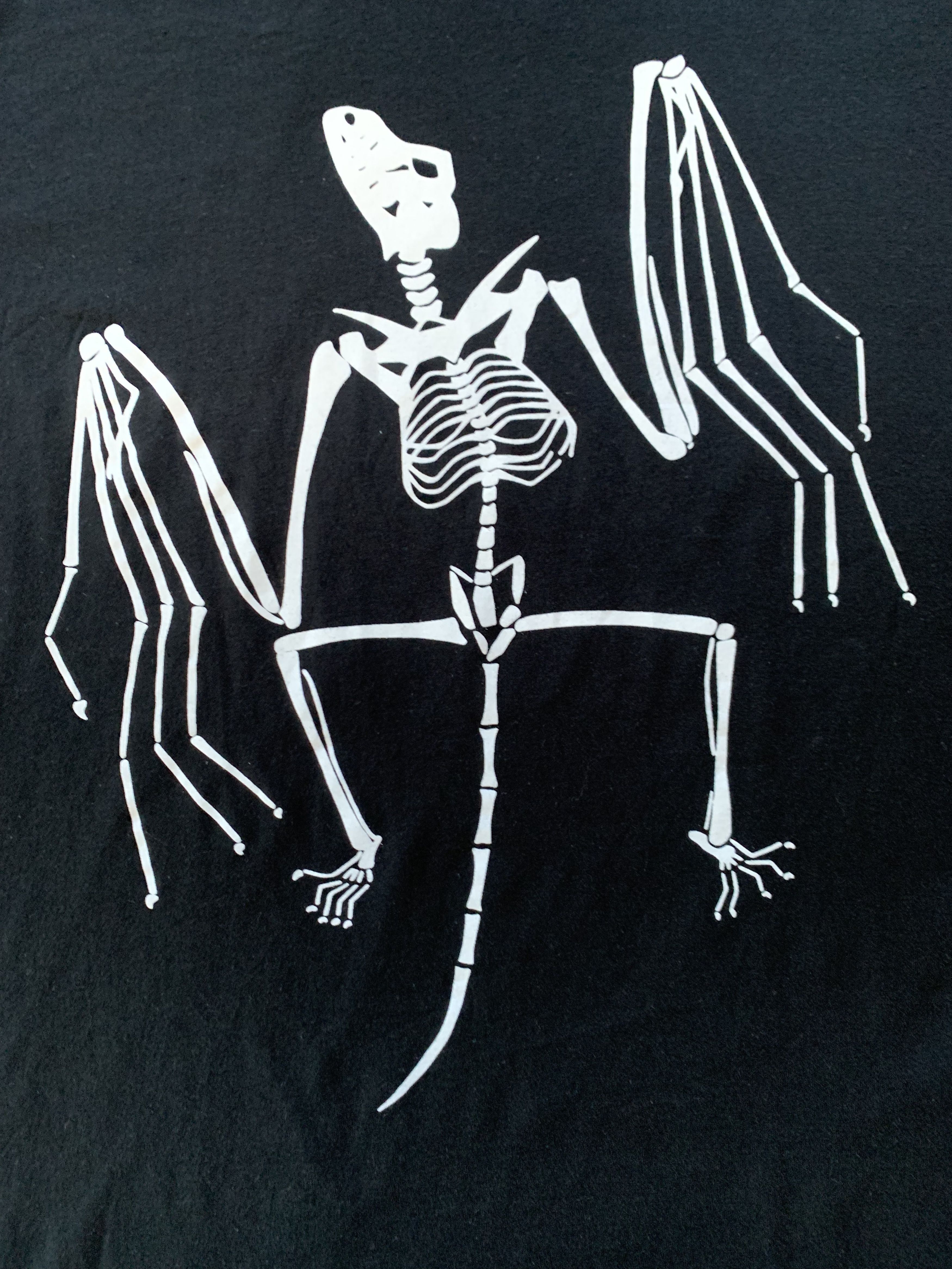 Gildan × Other Vintage Ghotic Archaeopteryx Black T Shirt Size US XL / EU 56 / 4 - 5 Thumbnail