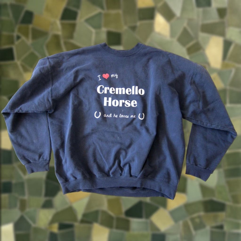 Hanes VINTAGE Hanes Blue I Love My Cremello Horse And He Love Me Sweatshirt Men XL Size US XL / EU 56 / 4 - 1 Thumbnail