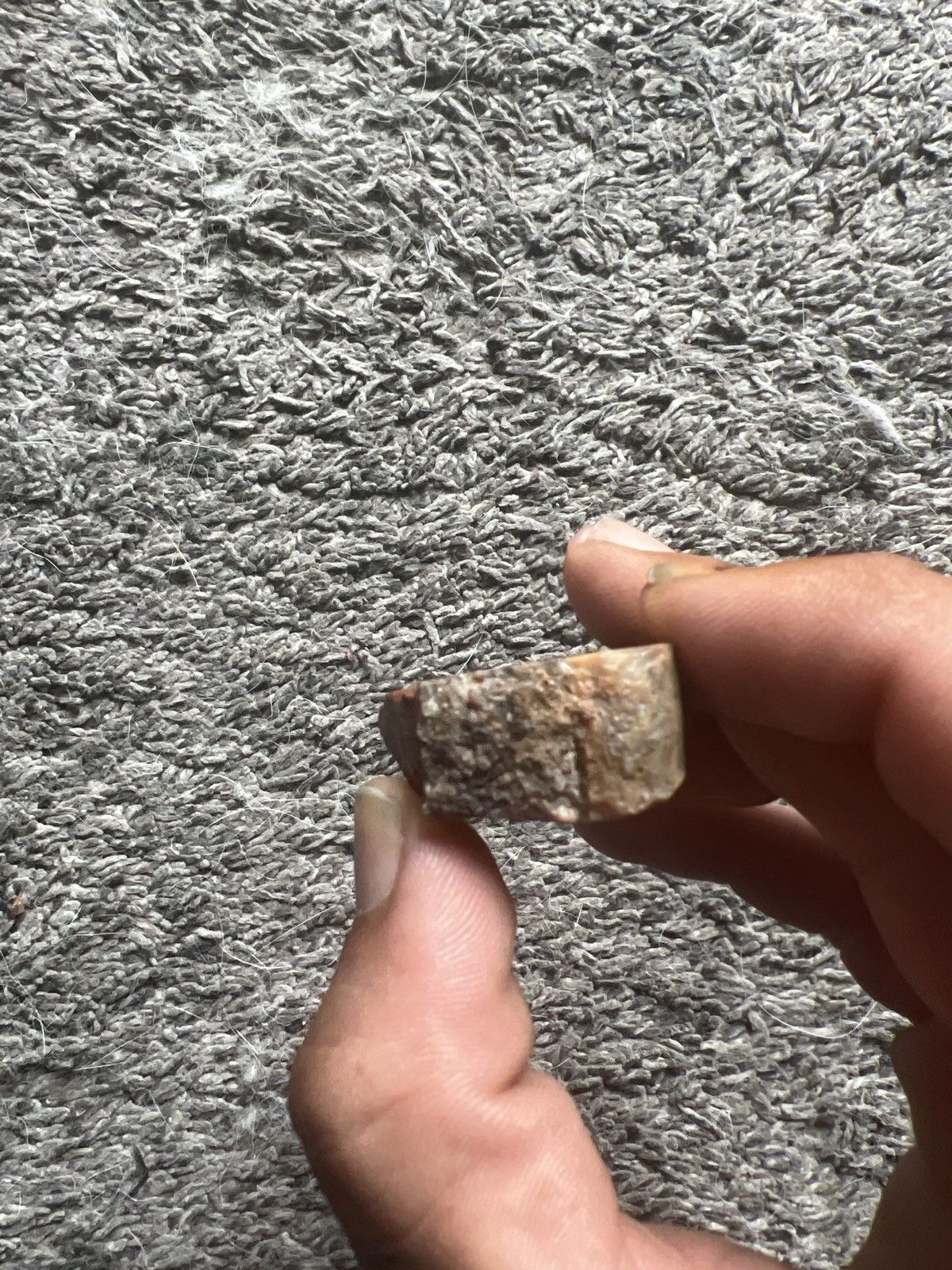 Vintage Arizona Petrified Wood Size ONE SIZE - 3 Thumbnail
