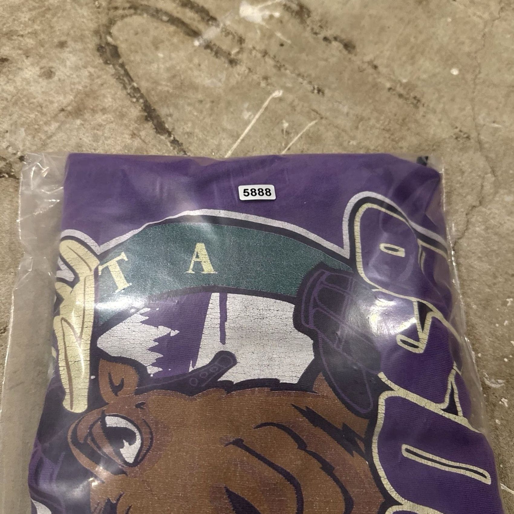 Fruit Of The Loom VINTAGE Minnesota Moose IHL Defunct St. Paul MN Mens 2XL T-Shirt Purple Graphic Tee Retro Unisex Adults Mens Size US XXL / EU 58 / 5 - 8 Thumbnail