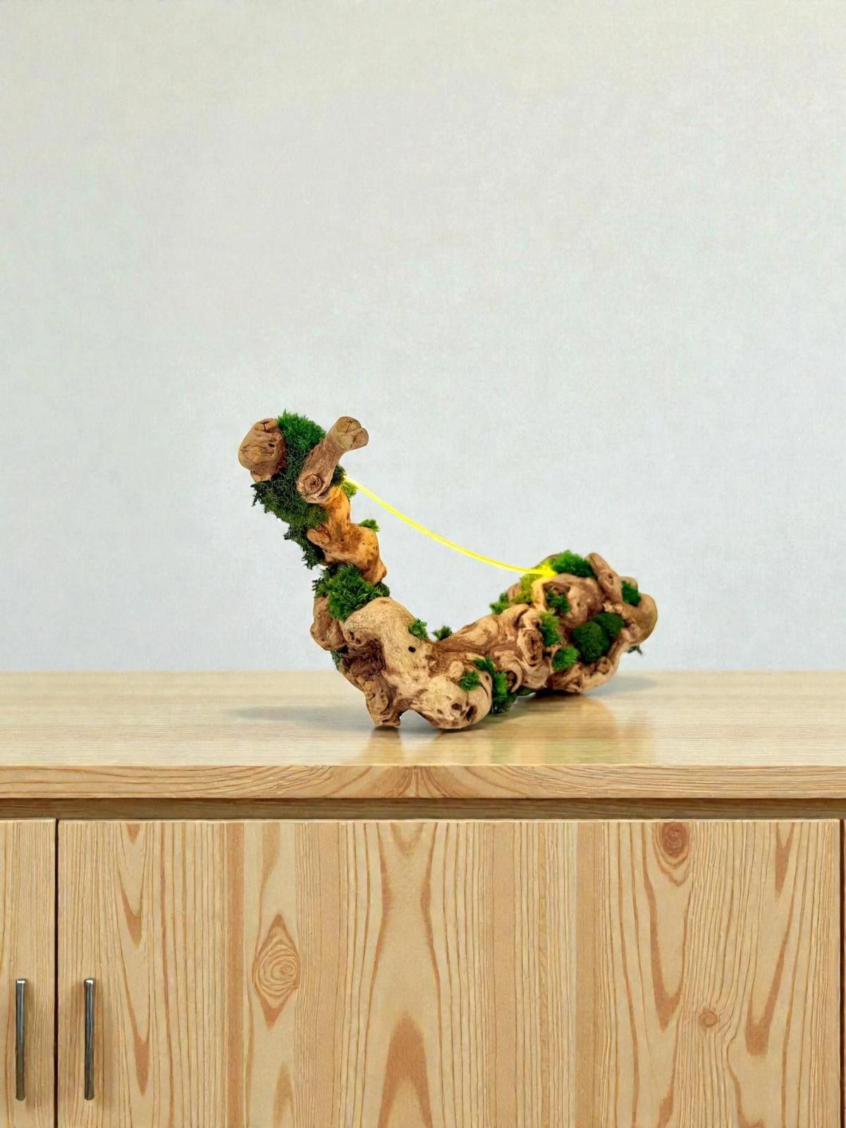 Other Driftwood, Original Grapevine Sculpture Lamp Preserved Moss Size ONE SIZE - 6 Thumbnail