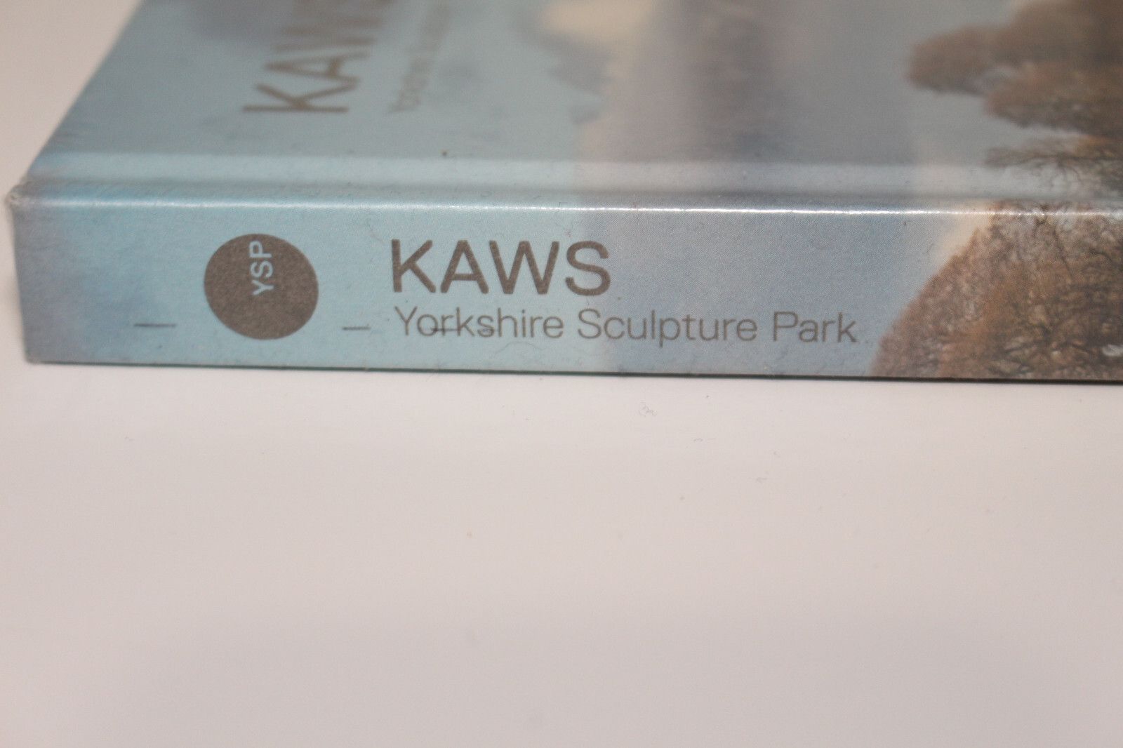 Kaws Kaws Yorkshire Sculpture Park YSP Catalogue Hardcover Book Size ONE SIZE - 6 Thumbnail