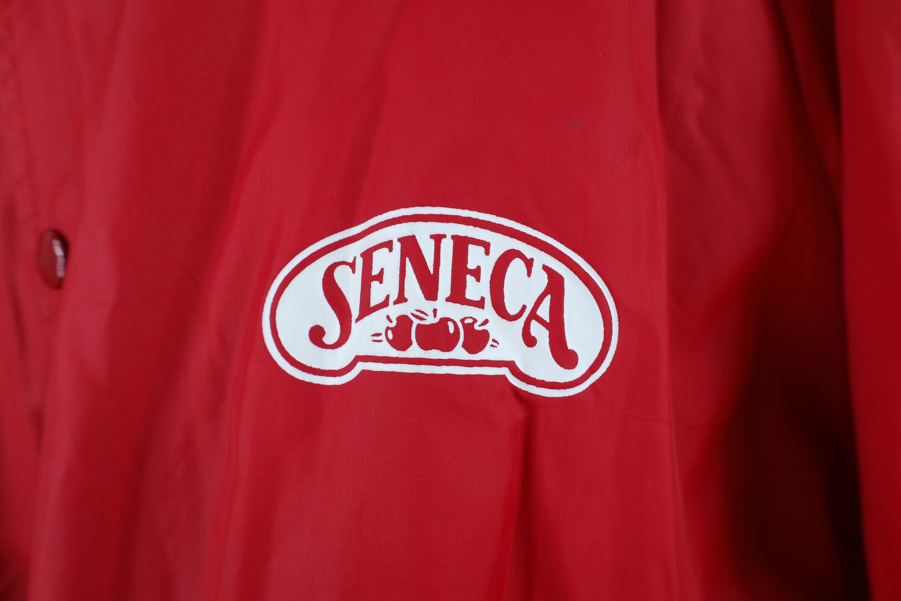 Vintage Vintage 80s 90s Seneca Apples Lined Satin Bomber Jacket USA Size US XL / EU 56 / 4 - 4 Thumbnail