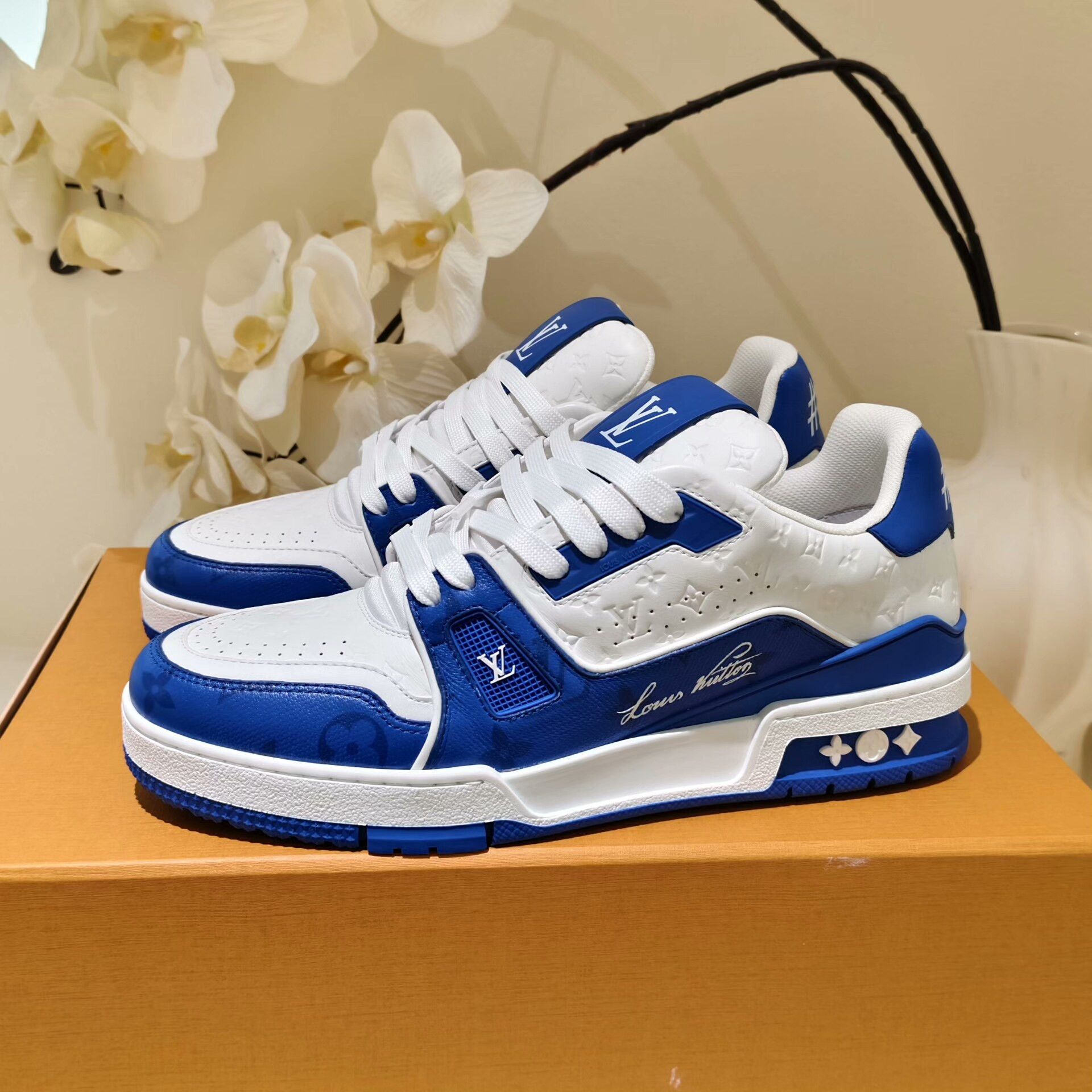 Louis Vuitton Louis Vuitton Training Lowtop Sneakers 7 Men Size US 7 / EU 40 - 1 Thumbnail