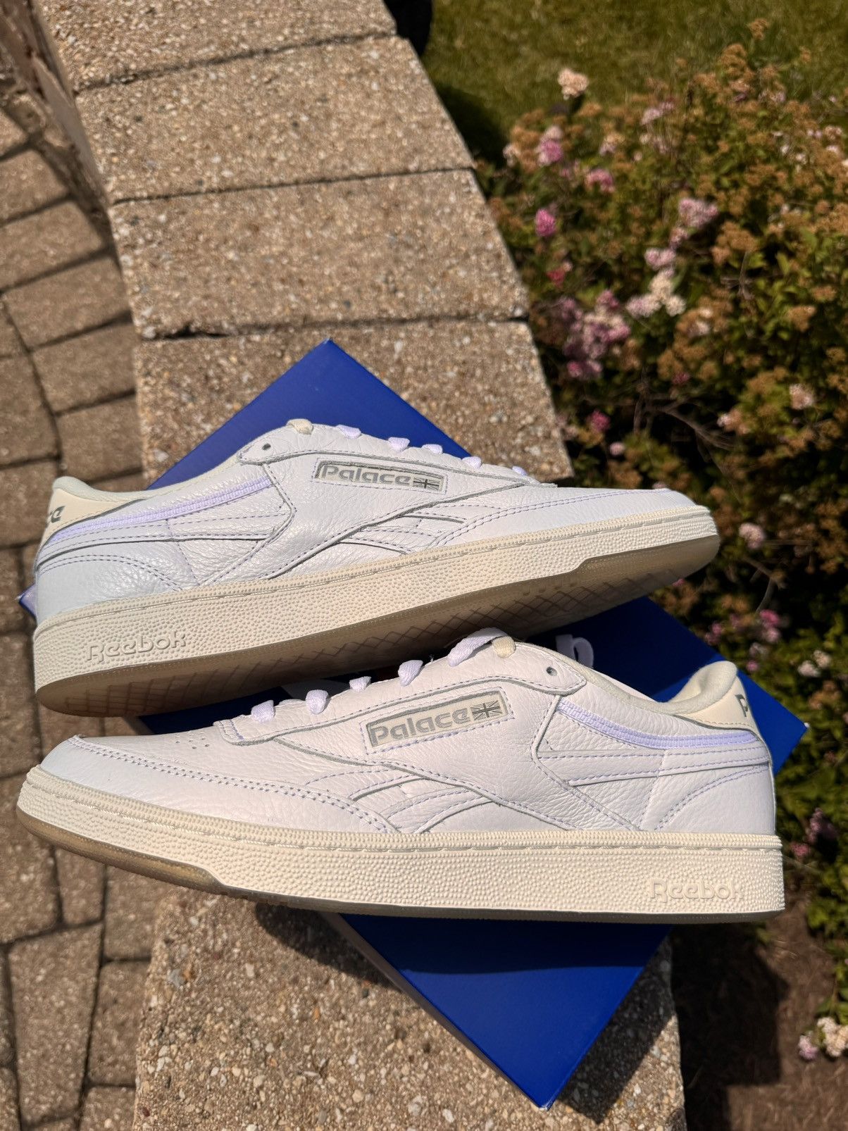 Reebok palace club c white online