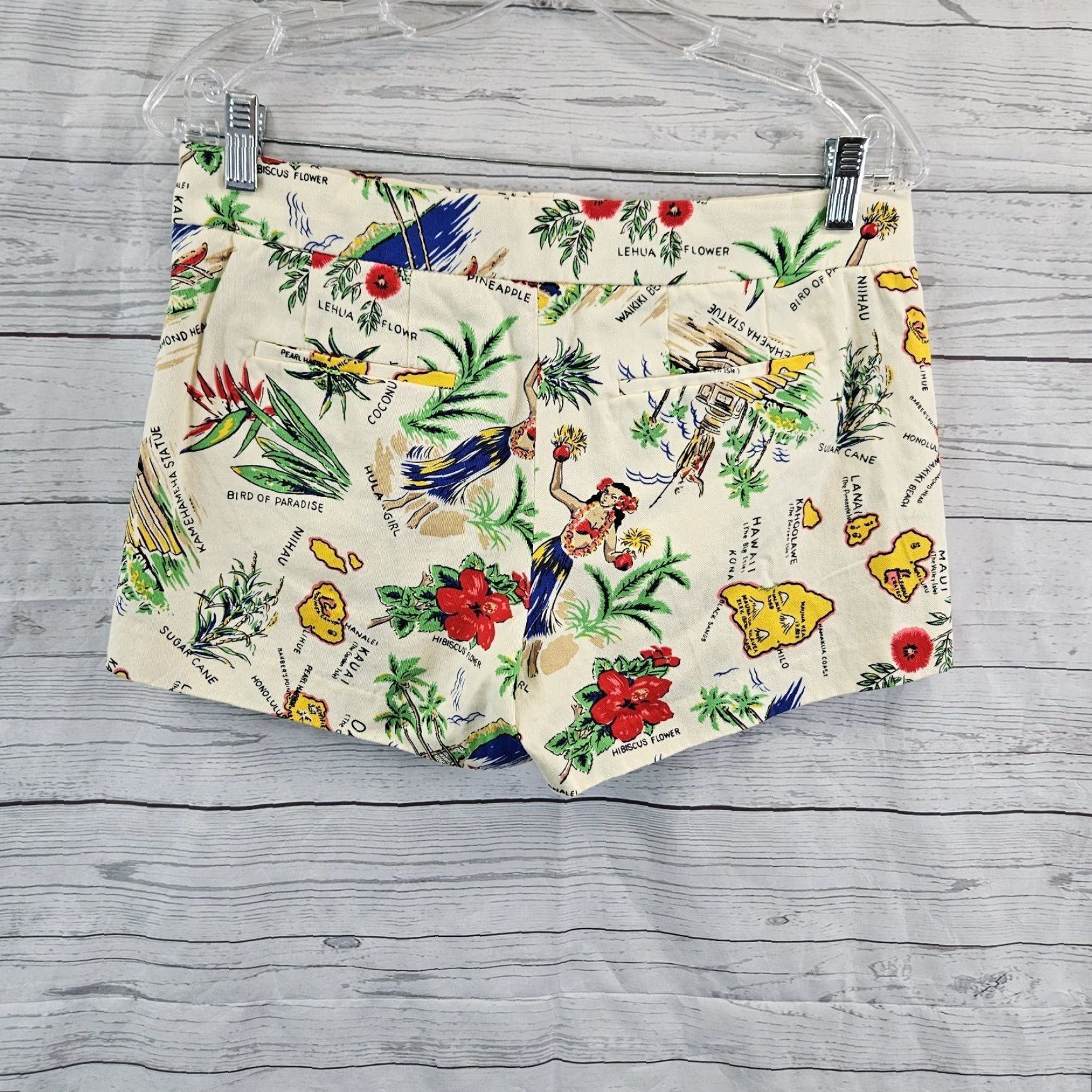 J.Crew VINTAGE J.CREW Womens Hawaiian Island Shorts Sz 2 Beige Green Cotton Chino Casual Denim? Size 26" / US 2 / IT 38 - 2 Thumbnail