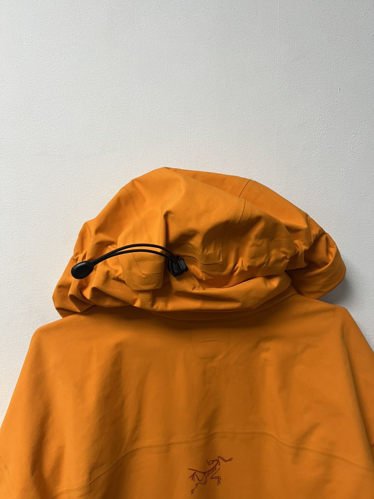 Arc'teryx Men's Arcteryx Beta Gore-Tex Jacket Size L Size US L / EU 52-54 / 3 - 16 Thumbnail