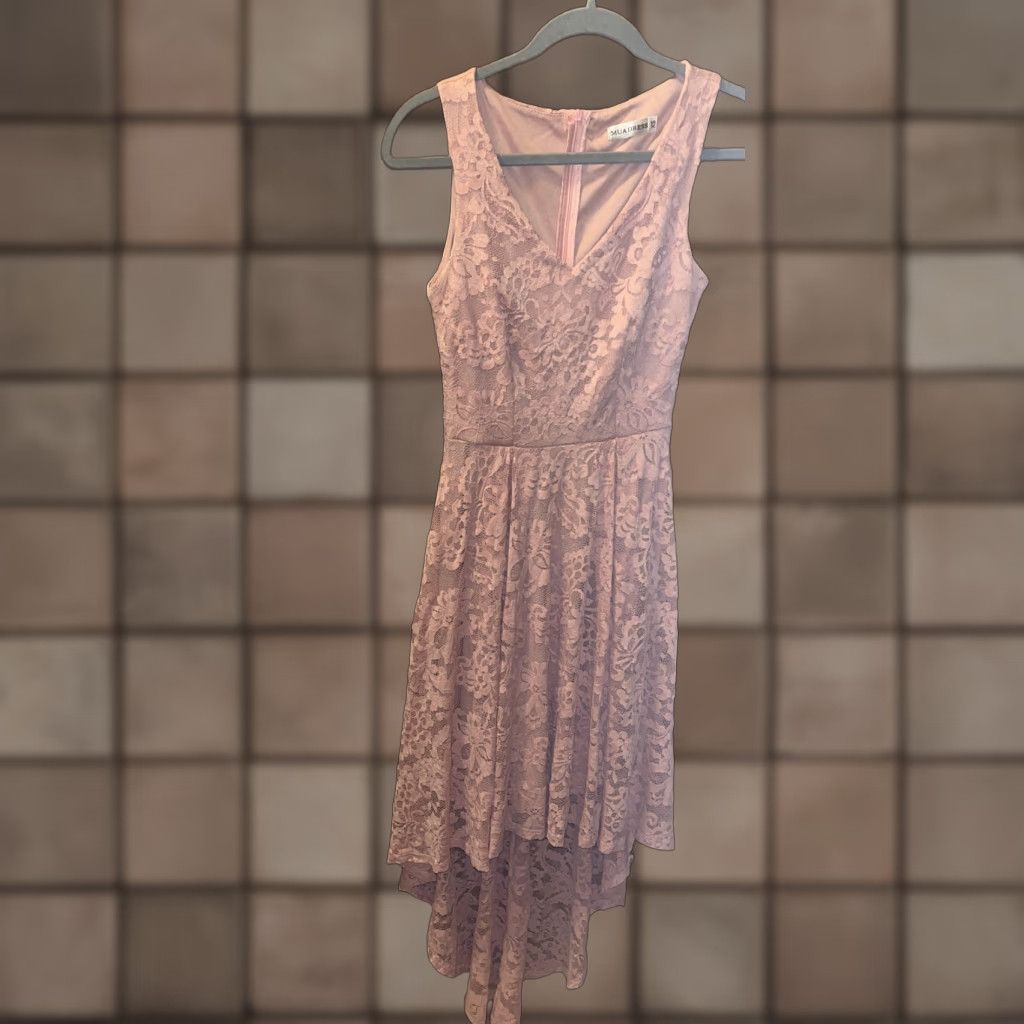 Pinko MAUDRESS Women's Lace Dress Hi Lo Sleeveless Floral Pink Blush Zip Zipper Party Formal XS Size Velvet? Wait. Size XS / US 0-2 / IT 36-38 - 1 Thumbnail