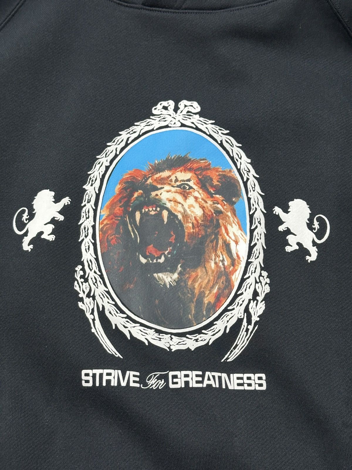 Nike NIKE LEBRON logo Lion Black Fleece Hoodie SIZE XL KING NWT Size US XL / EU 56 / 4 - 12 Thumbnail