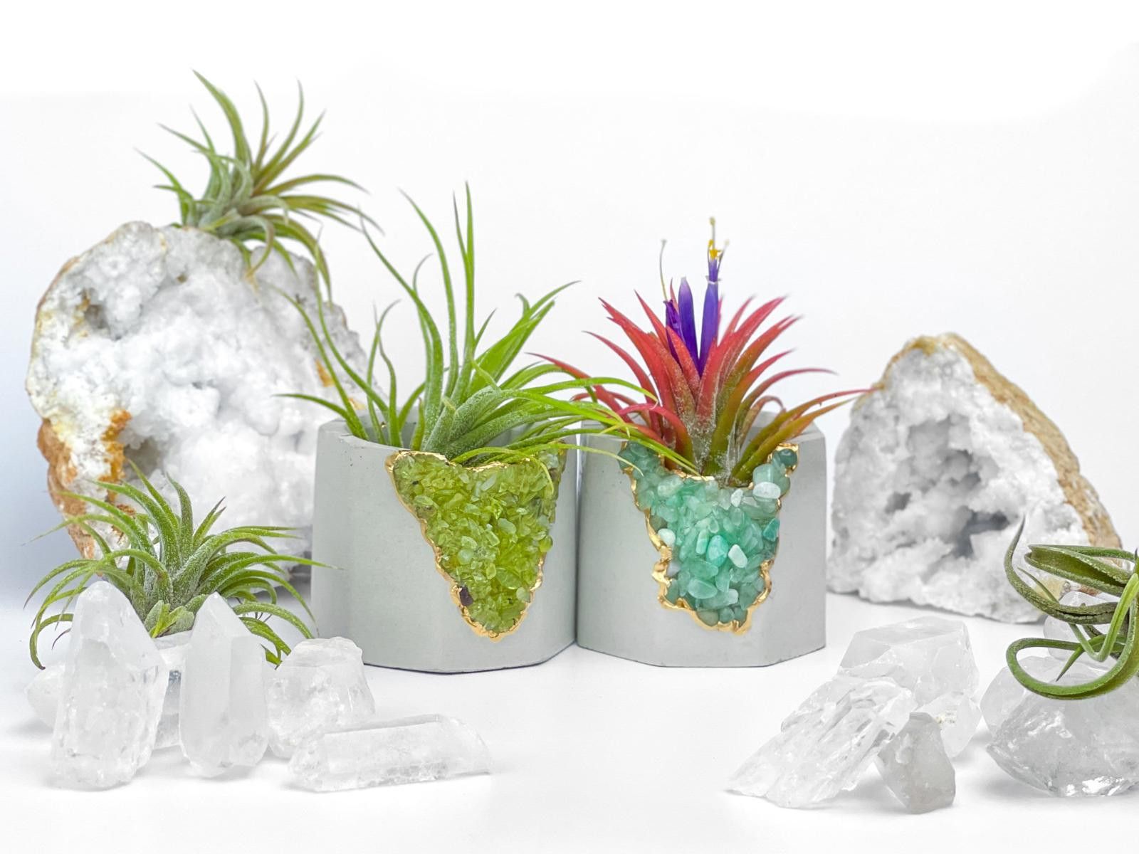 Other Air Plant Holder Geode Planter Air Plant Planter Succulent Size ONE SIZE - 2 Thumbnail