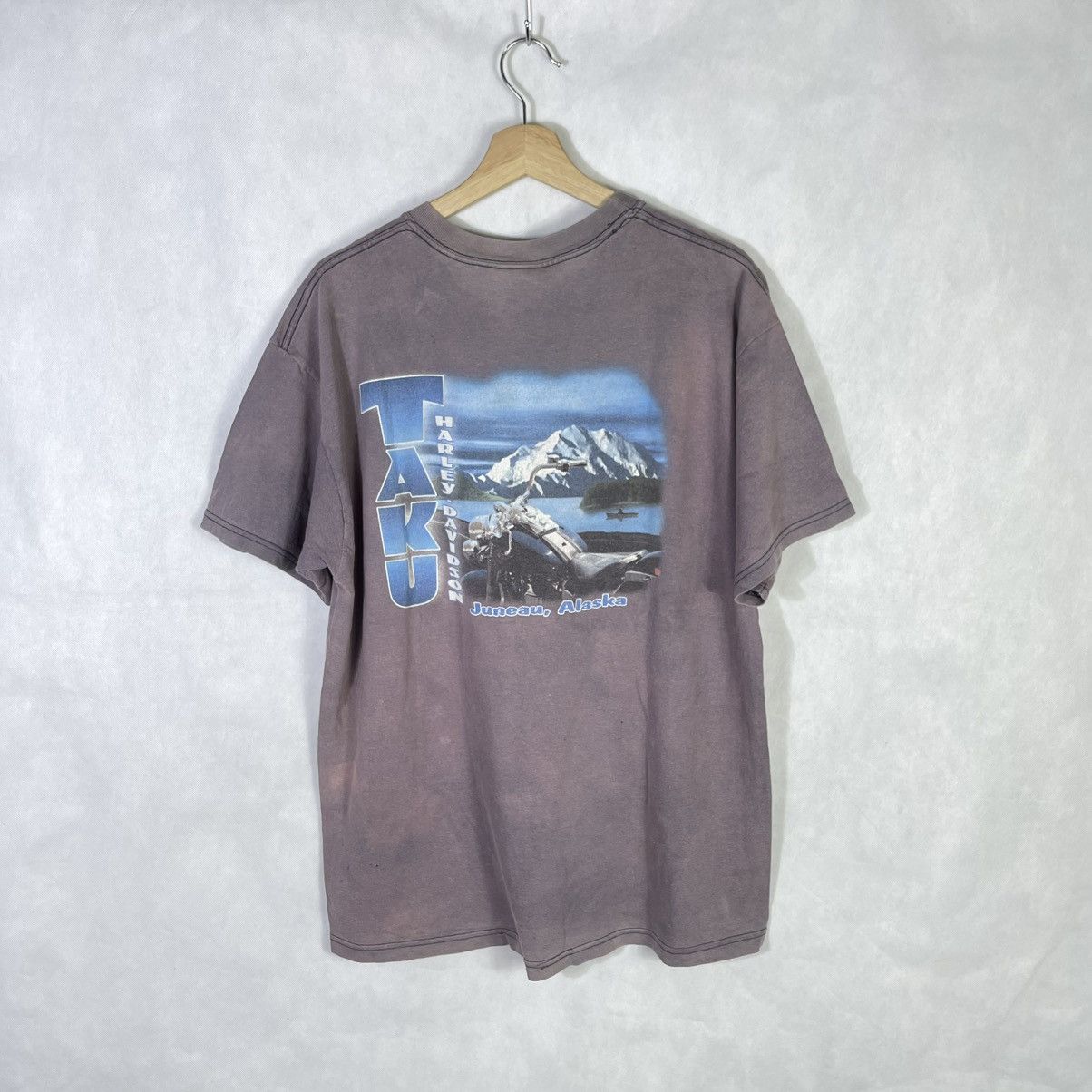 Hanes × Harley Davidson × Vintage Rare! Vintage Harley Davidson Adventure Alaska Tshirt Size US L / EU 52-54 / 3 - 3 Thumbnail