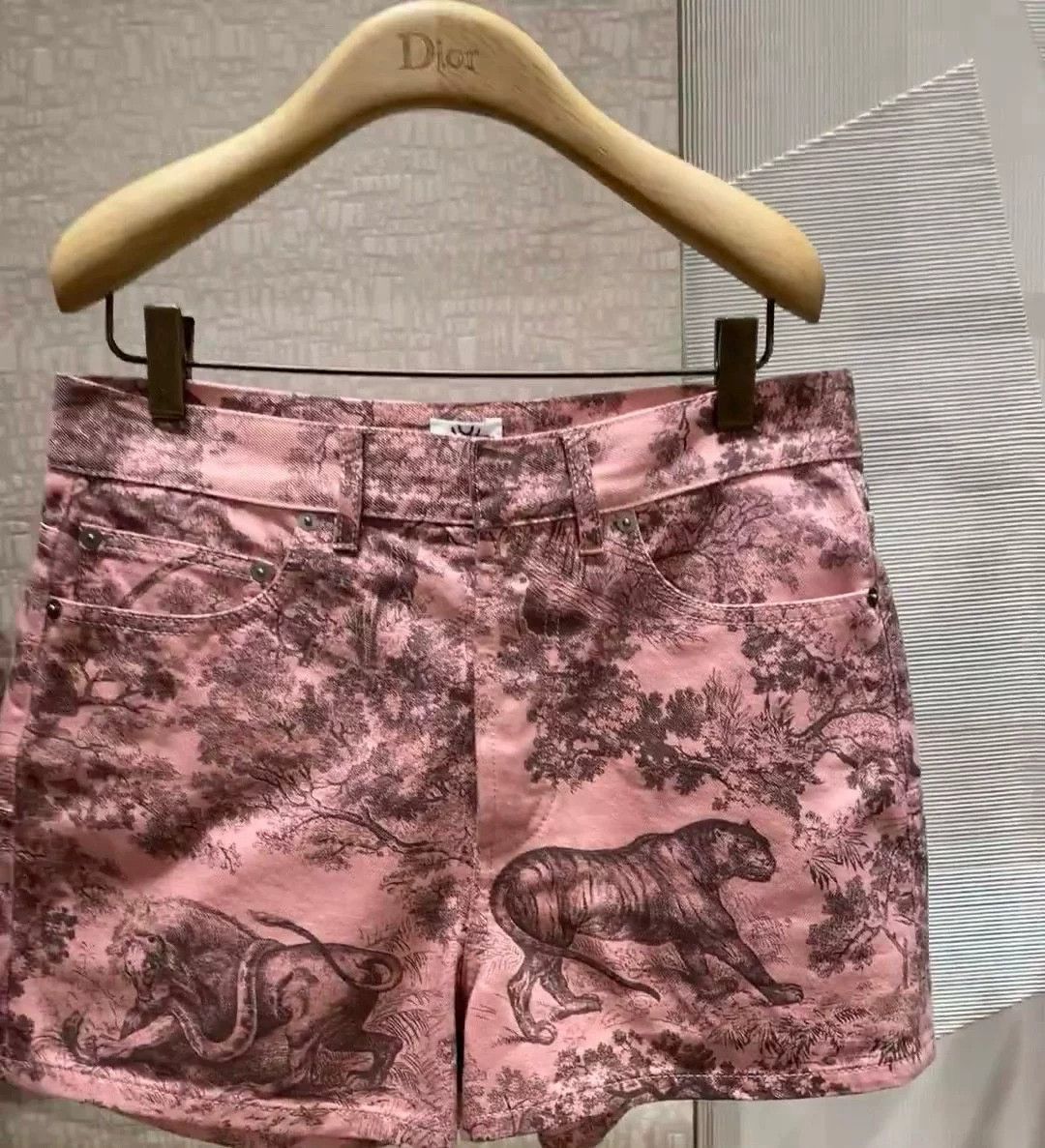 Dior Dior Dioriviera Sauvage Toile Print Shorts Size 34" / US 12 / IT 48 - 1 Thumbnail
