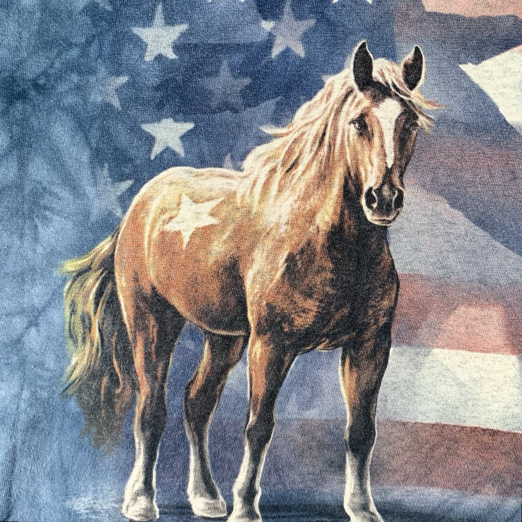 The Mountain VINTAGE The Mountain Men's Cotton T-Shirt Oversized Medium Patriotic American Flag Eagle Horse Stars Stripes Blue All Seasons Size US M / EU 48-50 / 2 - 3 Thumbnail