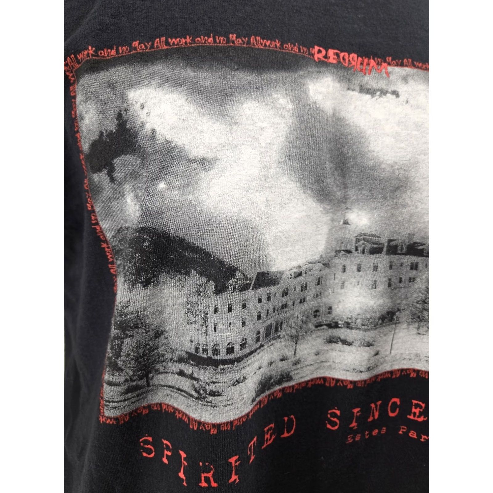 Gildan Gildan Estes Park T Shirt Mens XL Graphic Tee Colorado Stanley Hotel Redrum Photo 1909 Black Cotton Short Sleeve Crew Neck 30" Down Back 1909s Size US XL / EU 56 / 4 - 4 Thumbnail