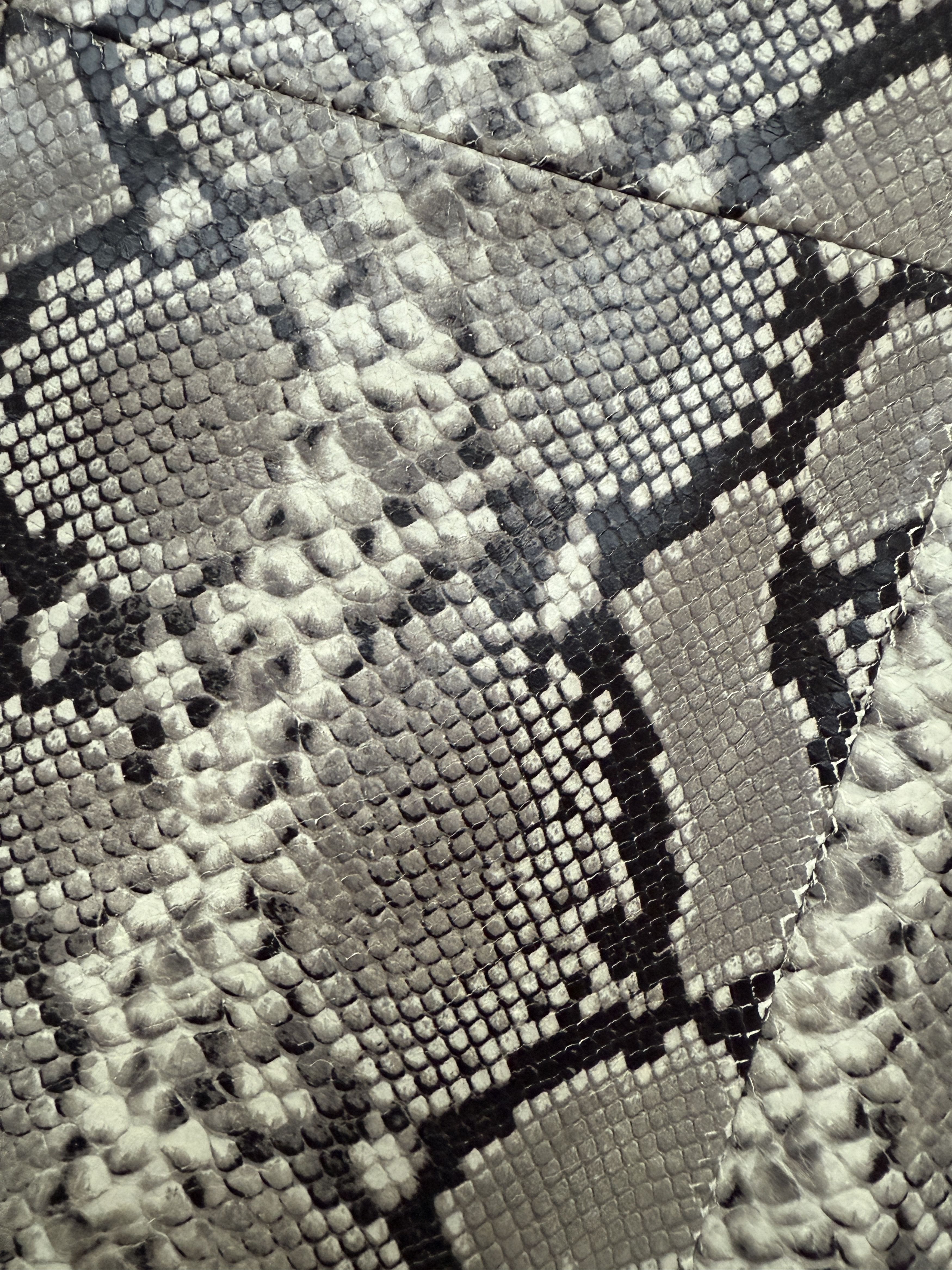 SECOND/LAYER Leather Snakeskin Blazer Jacket Python Sz 50