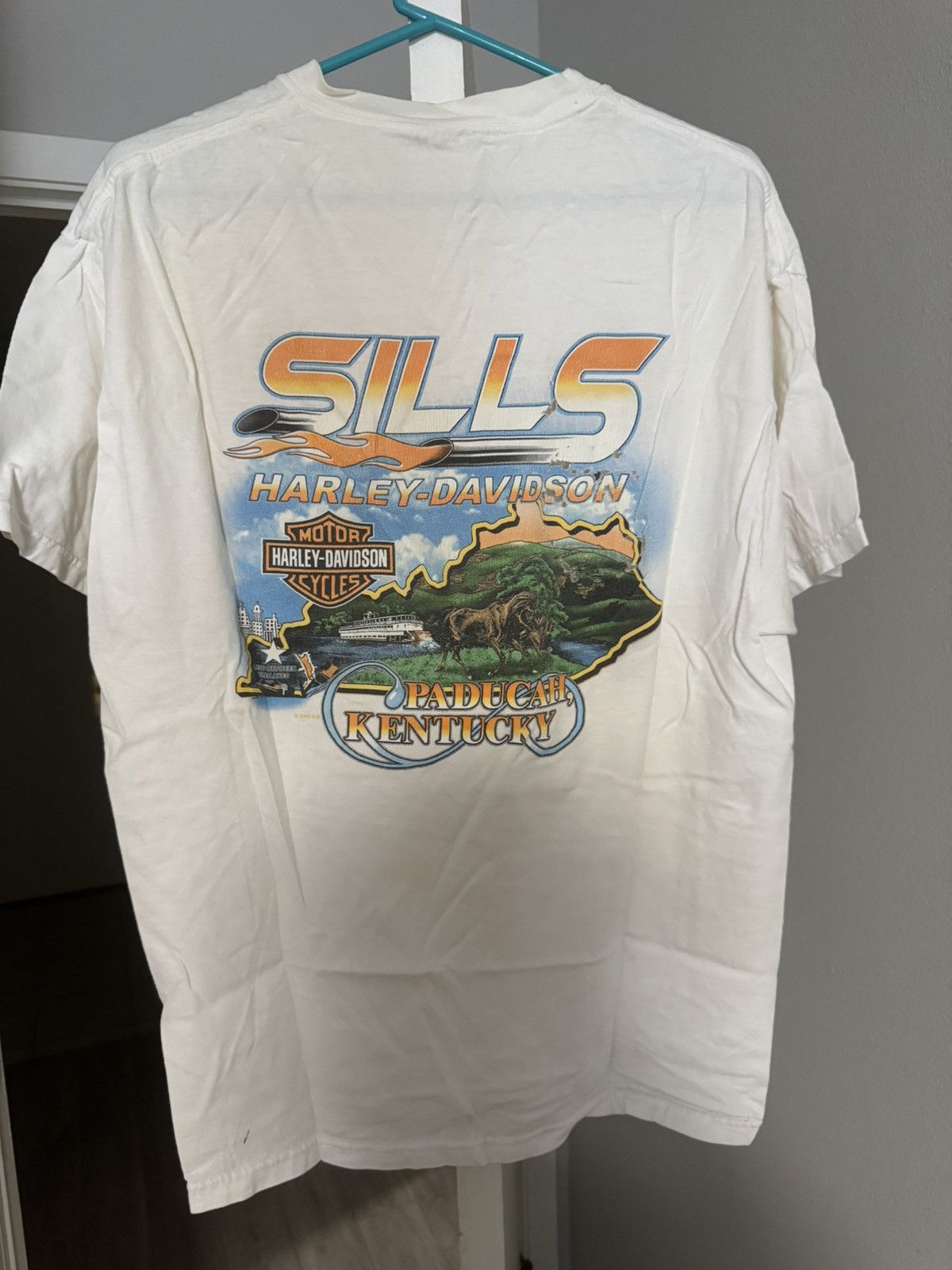 Harley Davidson Harley davidson 2003 Sills Kentucky Size US XL / EU 56 / 4 - 2 Thumbnail