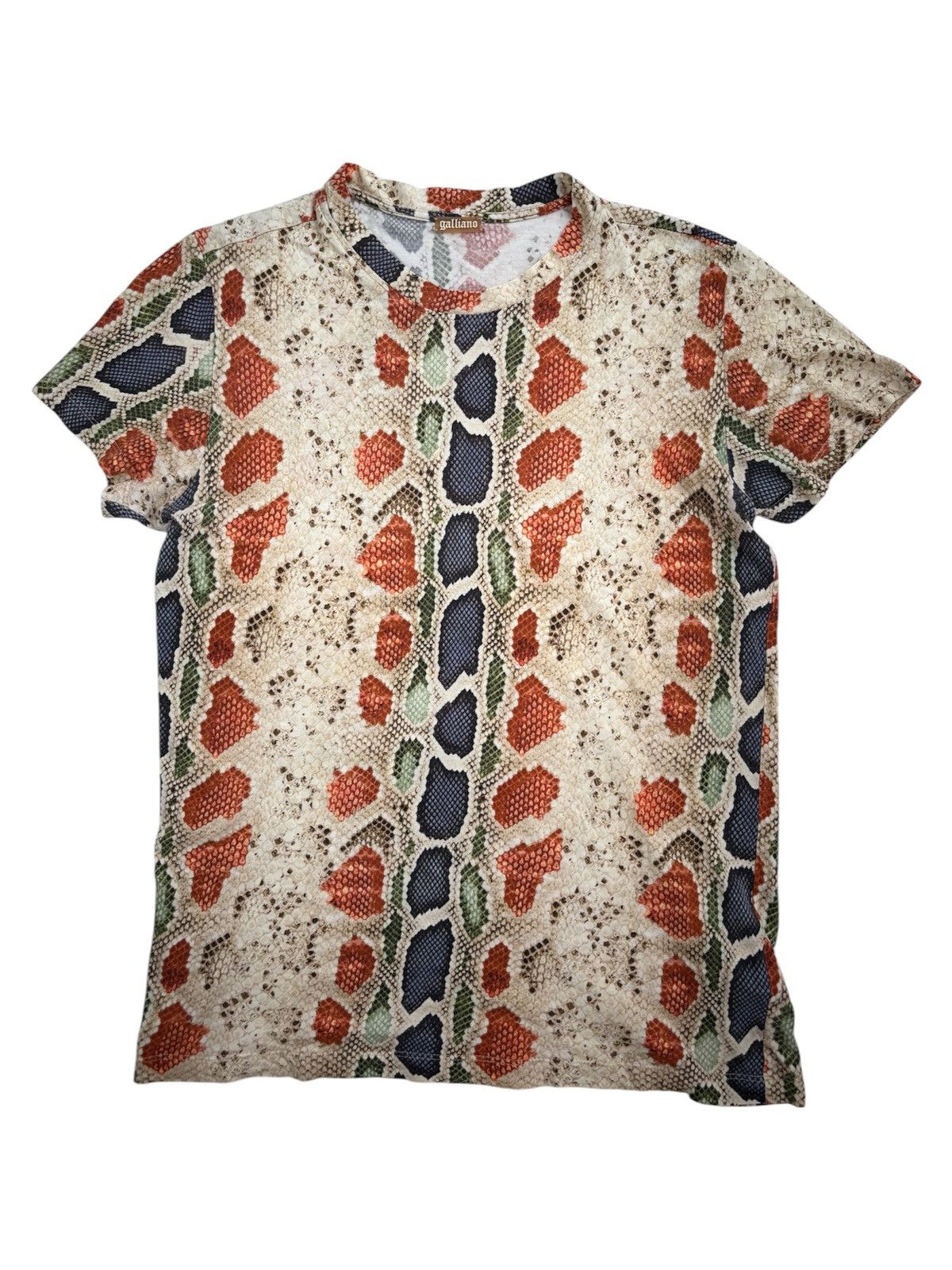 Gradient Snakeskin Print T-shirt