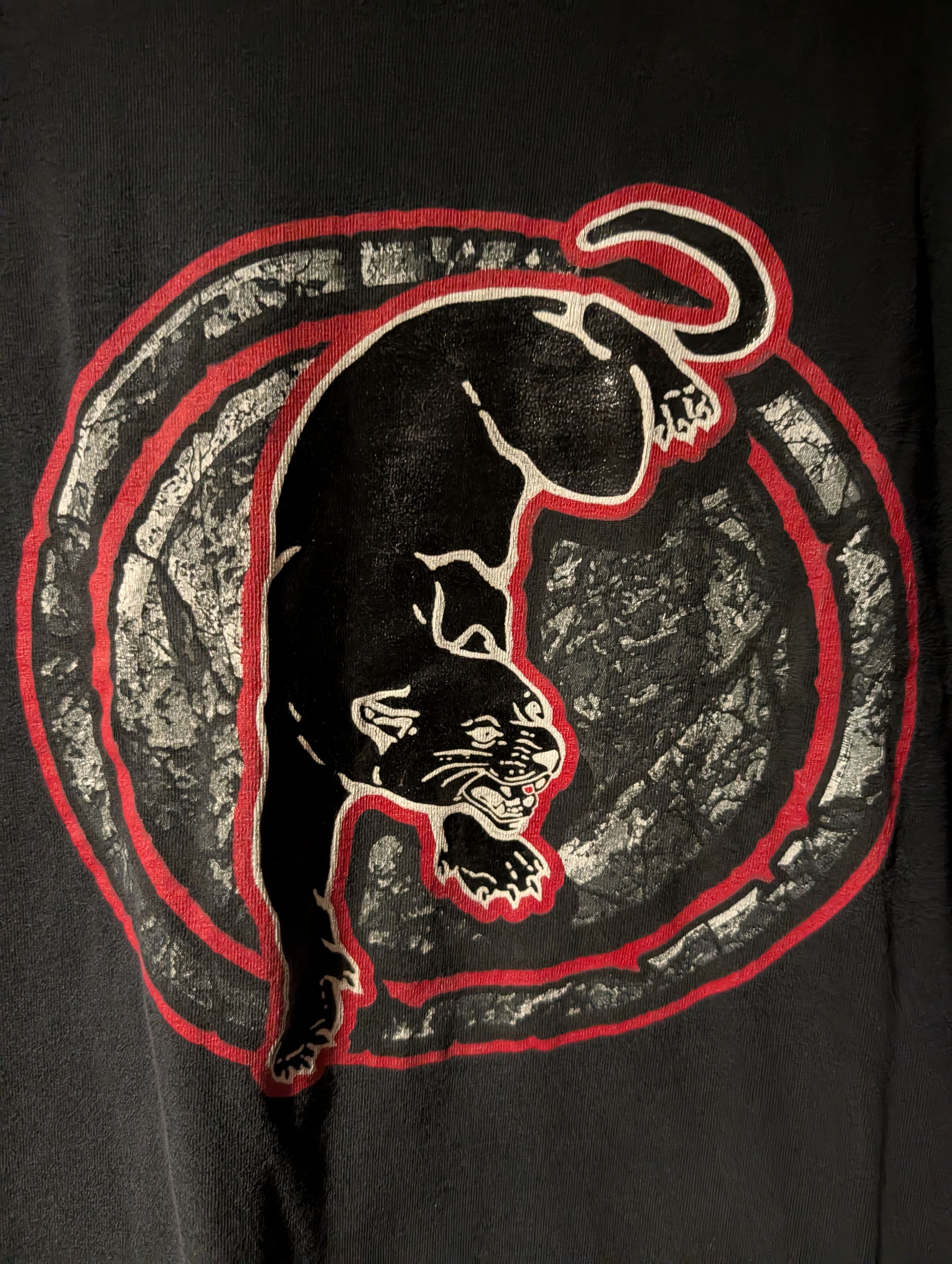 Arts & Science Vintage No Boundaries Panther T-Shirt Goth Grunge Skater Size US M / EU 48-50 / 2 - 2 Thumbnail