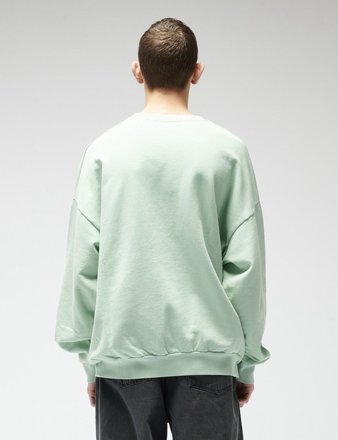 Raf Simons Nebraska Archive Redux AW02 Virginia Creeper Sweatshirt Size US M / EU 48-50 / 2 - 5 Thumbnail