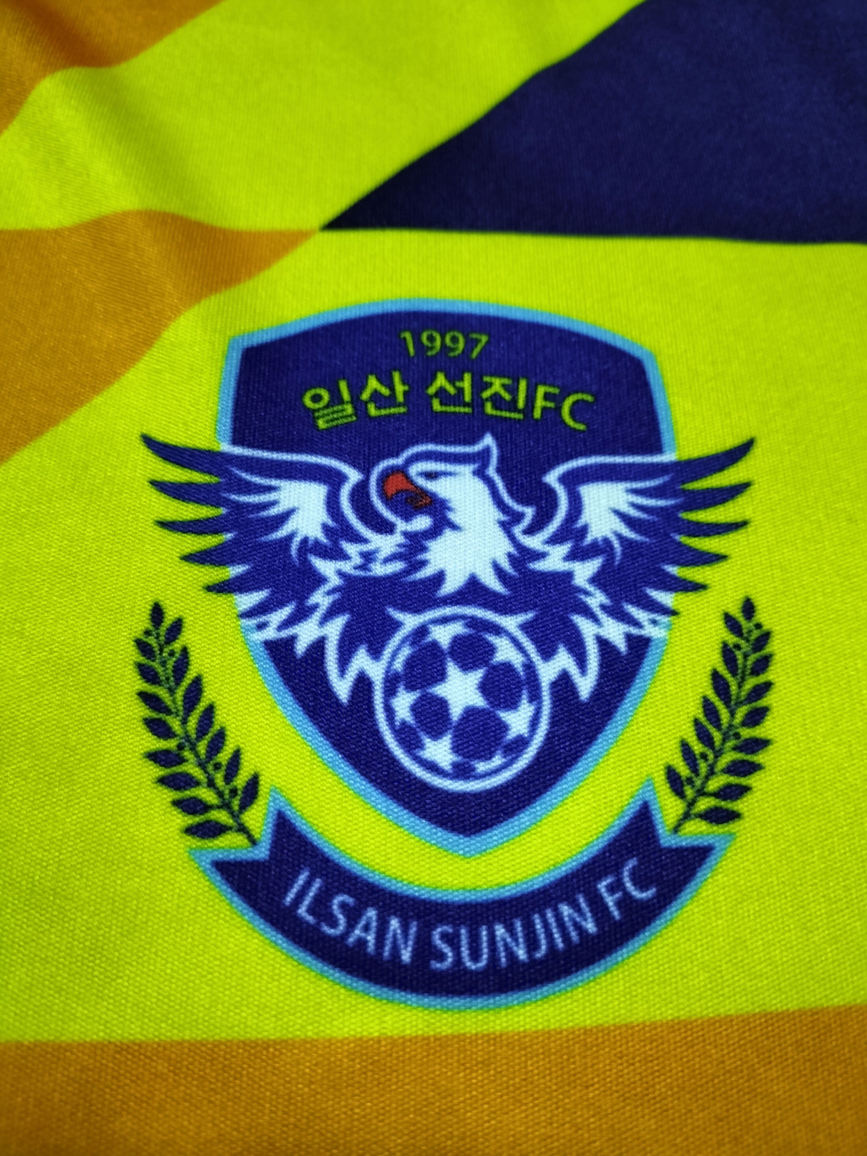 Nike Nike Ilsan Sun Jin Football Club Longsleeve jersey Size US L / EU 52-54 / 3 - 3 Thumbnail