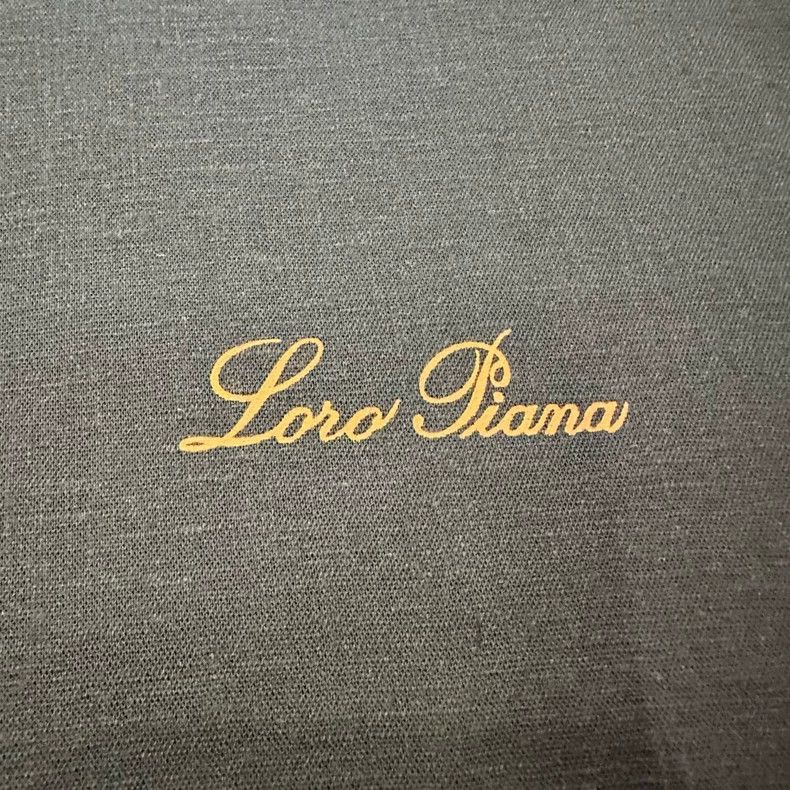 Loro Piana LORO PIANA Men's short sleeves Size US M / EU 48-50 / 2 - 5 Thumbnail