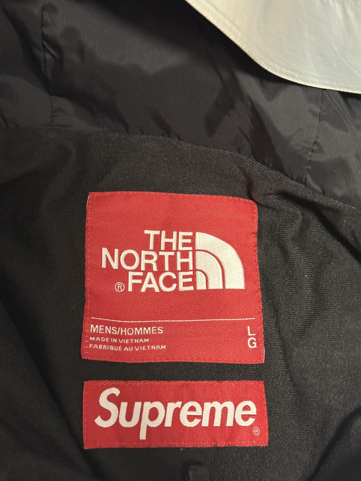 The North Face Supreme tnf the north face metallic mountain parka sliver Size US L / EU 52-54 / 3 - 5 Thumbnail