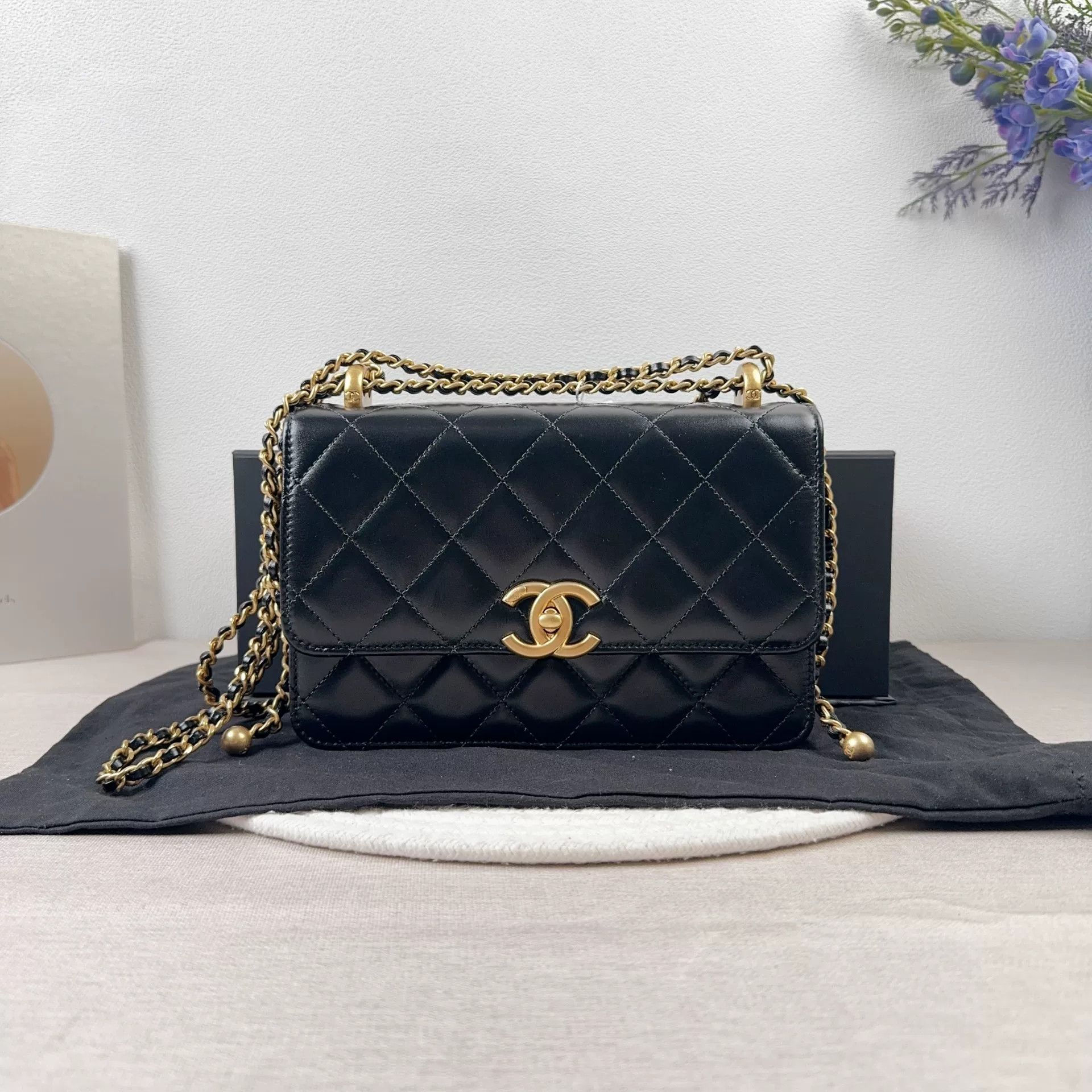 Chanel Pre-loved Bag Brand new condition Size ONE SIZE - 1 Thumbnail